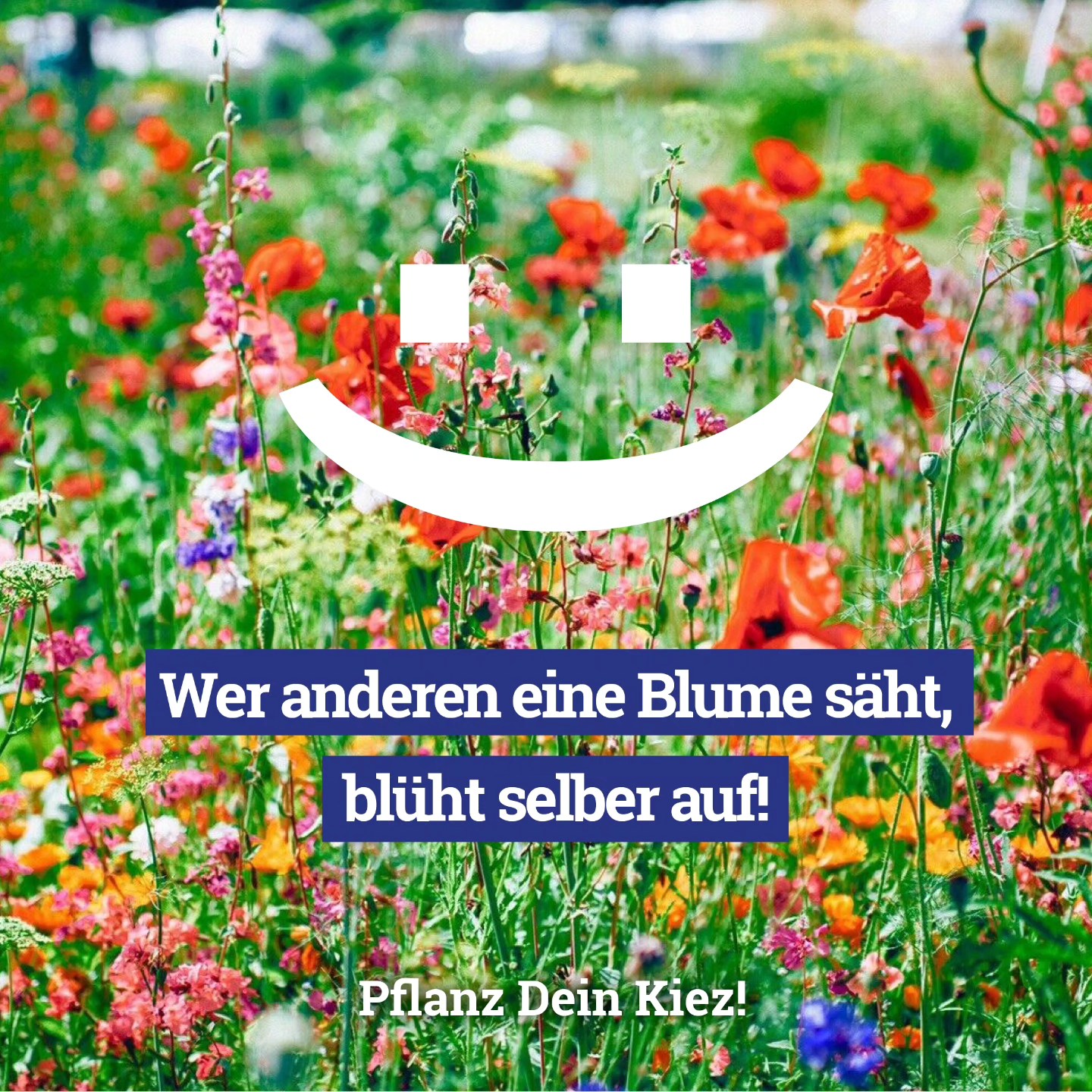 🌸Wer anderen eine Blume sät, blüht selber auf! 🌼
Dass dieser Spruch wahr ist, haben wir in unserer Arbeit im HarzAcker schon oft erlebt.
Denn wer anderen eine Blume sät, der sät Gemeinschaft und Freude, einen Lebensraum für Wildbienen und bunte Farben in einer viel zu grauen Stadt! 🌈😊
Habt ihr das auch schon mal erlebt, dass ihr Blumen gesät habt und dabei selber aufgeblüht seid?
Teilt eure #aufblühmomente mit uns und lasst euch inspirieren! 🌼🌸
Wir finden diesen Spruch so toll, dass er es auf unsere neue Edition von Postkarten geschafft hat. Sneak peaks auf unsere weiteren Motive, kommen in den nächsten Wochen! 😍
Wo ihr die schönen Postkarten bekommt?
Zum Beispiel bei unserem nächsten Grünen HarzAcker-Stammtisch. Der Termin wird noch bekannt gegeben, also stay tuned!🥰💚
#HarzAcker #HarzAckerP25 #HarztalWildeRose #parzellex #pflanzdeinkiez #urbangardening #urbangardeningberlin #communitygardening #gemeinschaftsgarten #urbanfarming #baumscheiben #workshop #partizipation #kleingartenanlage #qmharzerstrasse #stadtnatur #umweltbildung #gesundeernährung #neukölln #harzerkiez #konsumfrei #gruen #senatsverwaltung #berlin #aufblühmomente
