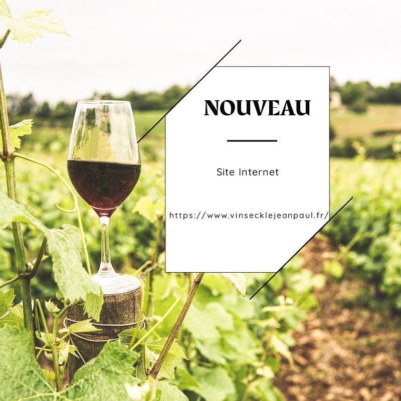 NOUVEAU ! 😁
La nouvelle version de notre site internet est enfin arrivée !
N'hésitez pas à aller la découvrir 😍
https://www.vinsecklejeanpaul.fr/