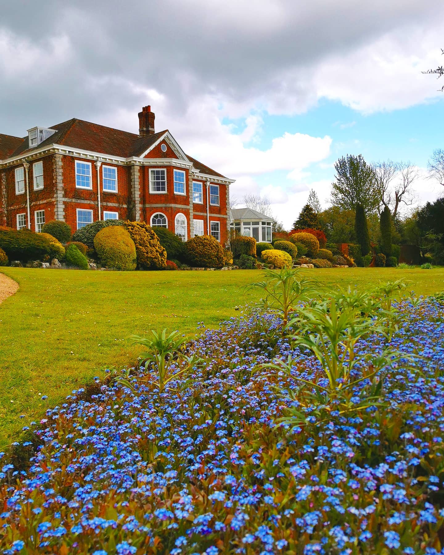 These Myosotis ( Forget Me Not) are creating lots of colour in this clients garden this spring.
#spring #forgetmenot #garden #gardening #bloomsford #outdoors #gardensofinstagram #gardens #estate