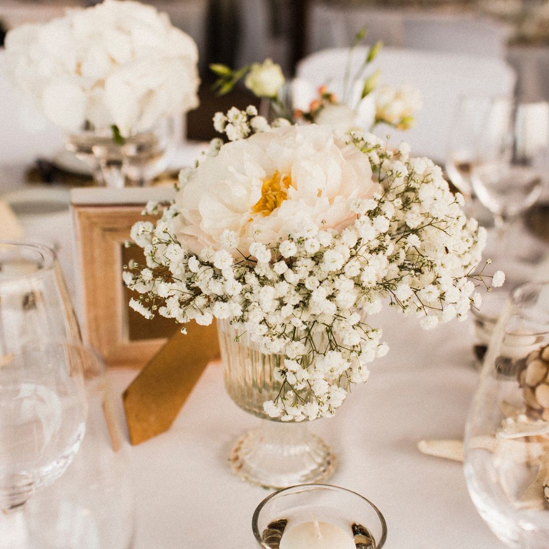 You don't need elaborate décor when you have nature surrounding you.
#destinationwedding #ncweddingvenue #mountainwedding #blueridgemountain #retreatwedding #boonenc #outdoorweddingvenue