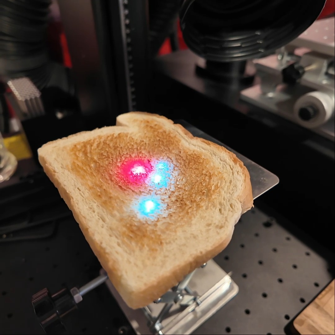 Toasted Patrick Star! With Laser! #laserengraving #xtool #laser