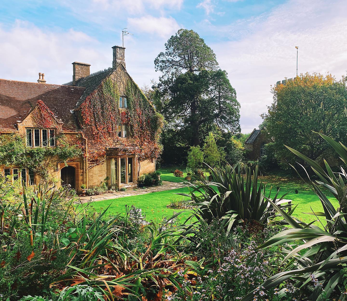 The garden is starting to look very autumnal 🍂
Why not get a group together and book the Manor for an autumnal weekend break next October? 🎃🍁
www.symondsbury.com
Please send all enquiries to peter@symondsbury.com
Hope everyone has a good Halloween weekend 🎃🍂
#symondsburymanor #symondsbury #dorset #bridportdorset #jurrasiccoast #dorsetcoast #selfcateringaccommodation #selfcateringholidays #selfcateringholidaysuk #selfcateringholidaysdorset #dorsetholidays #uniqueholidayrentals