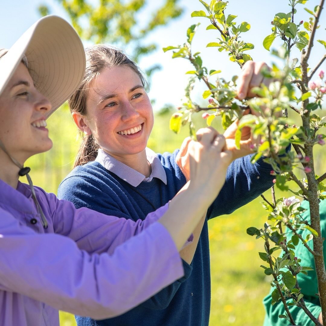 “I am exploring a new approach to spirituality here in Divinya. A practical spirituality, where the focus lies on being aware of myself in daily activities: how I behave, what I think and talk about, what I like and dislike, my patterns and habits, and so on. This has radically changed my way of looking at spirituality. Instead of doing it as a regular practice, I am now seeing it as an integral part of my life. So that everything I do can bring me further towards inner peace and freedom.”
― Katrijn, Ecology & Spirituality participant
#practicalspirituality #consciousnessshift #innerpeace #spiritualgrowth #seva #divinya