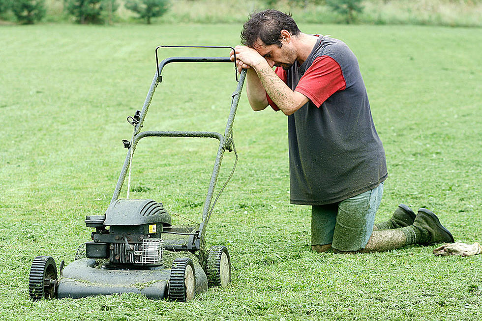 This doesn't have to be you this summer! Let us take care of the mowing so you can enjoy your yard instead of constantly working on it.
https://www.rfr.bz/illqb0n
#mowing #lawncare #cutthegrass #terrehaute #summer https://www.rfr.bz/illqb0m