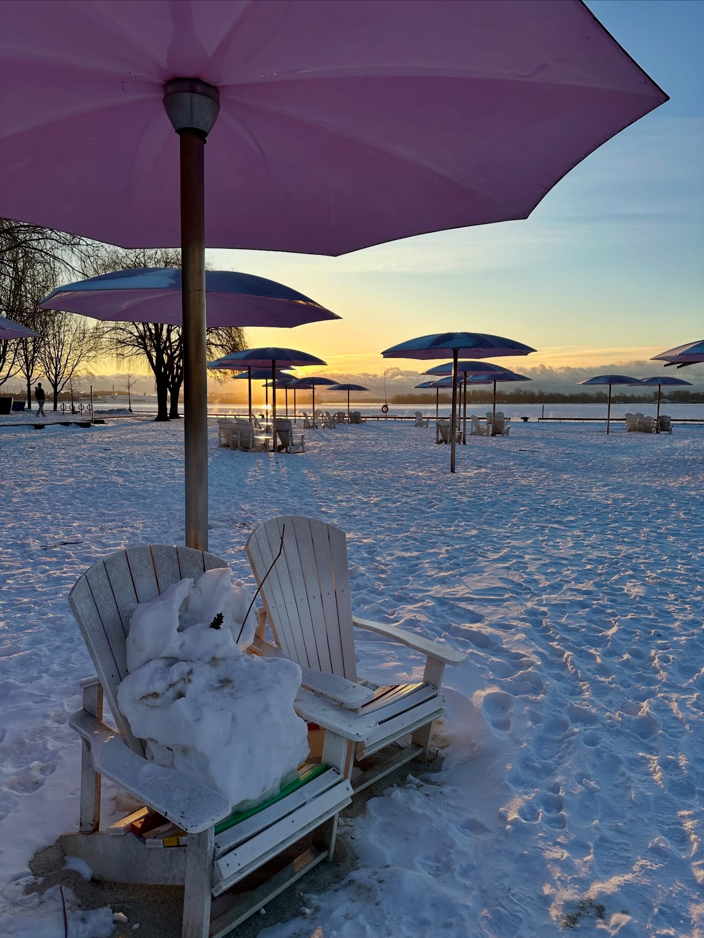Winter in Toronto rides a little differently ❄️🚲
Sugar Beach under snow, pink umbrellas stand firm against the cold, reminding us that beauty doesn’t disappear in winter.. it just changes shape. It’s quiet, crisp and unexpectedly beautiful - the kind of day that reminds us this city is worth exploring in every season.
#PedalToronto #SugarBeach #TorontoInWinter #RideTheCity #TorontoMoments