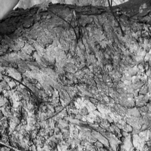 #Dattola #Tranquille #Maryse #newsong #newvideo #todayistheday