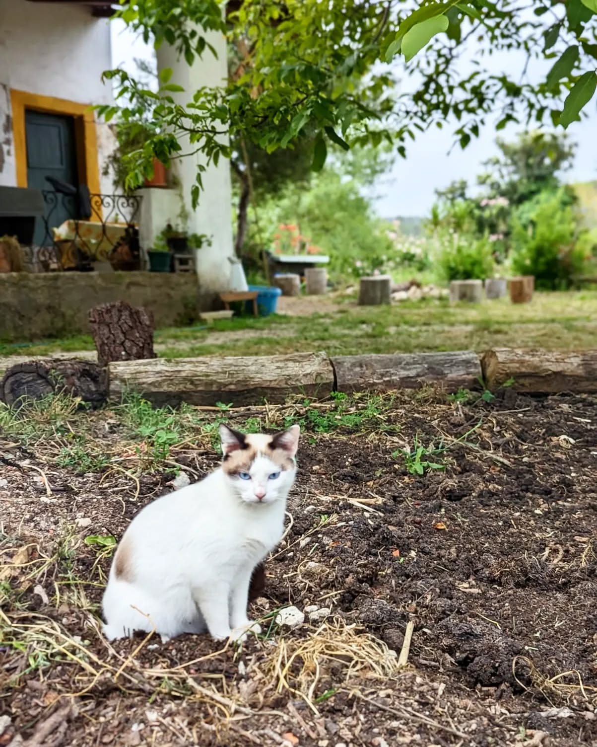 ~ Maya ~
📸@gaffarrrr