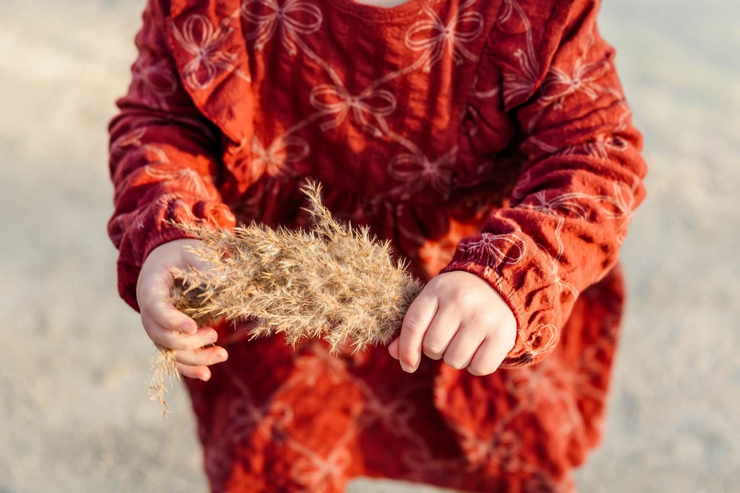 My heart is heavy these days. I feel guilty for feeling happy. I try to appreciate the little things in life. I work hard to take nothing for granted. These are my truths.