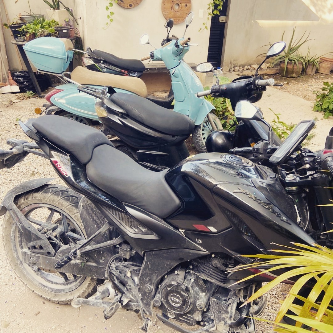 Experience the freedom of Riviera Maya with Coco Motos! 🛵✨ Explore Playa Del Carmen, Tulum, and Puerto Morelos on two wheels with our convenient delivery service.
We offer daily, weekly, or monthly rentals, with prices starting from as little as $268MX. Discover hidden gems, breathtaking beaches, and local flavours at your own pace. Book your ride today!
¡Experimenta la libertad de la Riviera Maya con Coco Motos! 🛵✨ Explora Playa del Carmen, Tulum y Puerto Morelos sobre dos ruedas con nuestro conveniente servicio de entrega. Ofrecemos rentas diarias, semanales o mensuales, ¡con precios desde tan solo $268MX! Descubre joyas ocultas, playas impresionantes y sabores locales a tu propio ritmo. ¡Reserva tu paseo hoy mismo!
#rentalscooterplayadelcarmen #rentalscooterplayacar
#rentalscootercancun #rentalscooterscancun #rentscootercancun
#cancunscooter
#cancunscooters #cancunscooterrental #cancunscooterental #scooterrentaltulum #rentalscootertulum #rentscootertulum #scooterrentalstulum #rentalscooterstulum
#rentscooter
#rentalscooter
#scooterrental
#playadelcarmen
#cancun
#tulum #scooterrentalplayadelcarmen #rentscooterplayadelcarmen #tulumscooterrental #tulumrentalscooter #tulumrentscooter #playadelcarmenscooter #playadelcarmenscooterental #tulumscooter
#tulumscooters #playadelcarmenrentalscooters #rentalscootercancun #rentalscooterscancun #rentscootercancun
#cancunscooter
#cancunscooters #cancunscooterrental #cancunscooterental