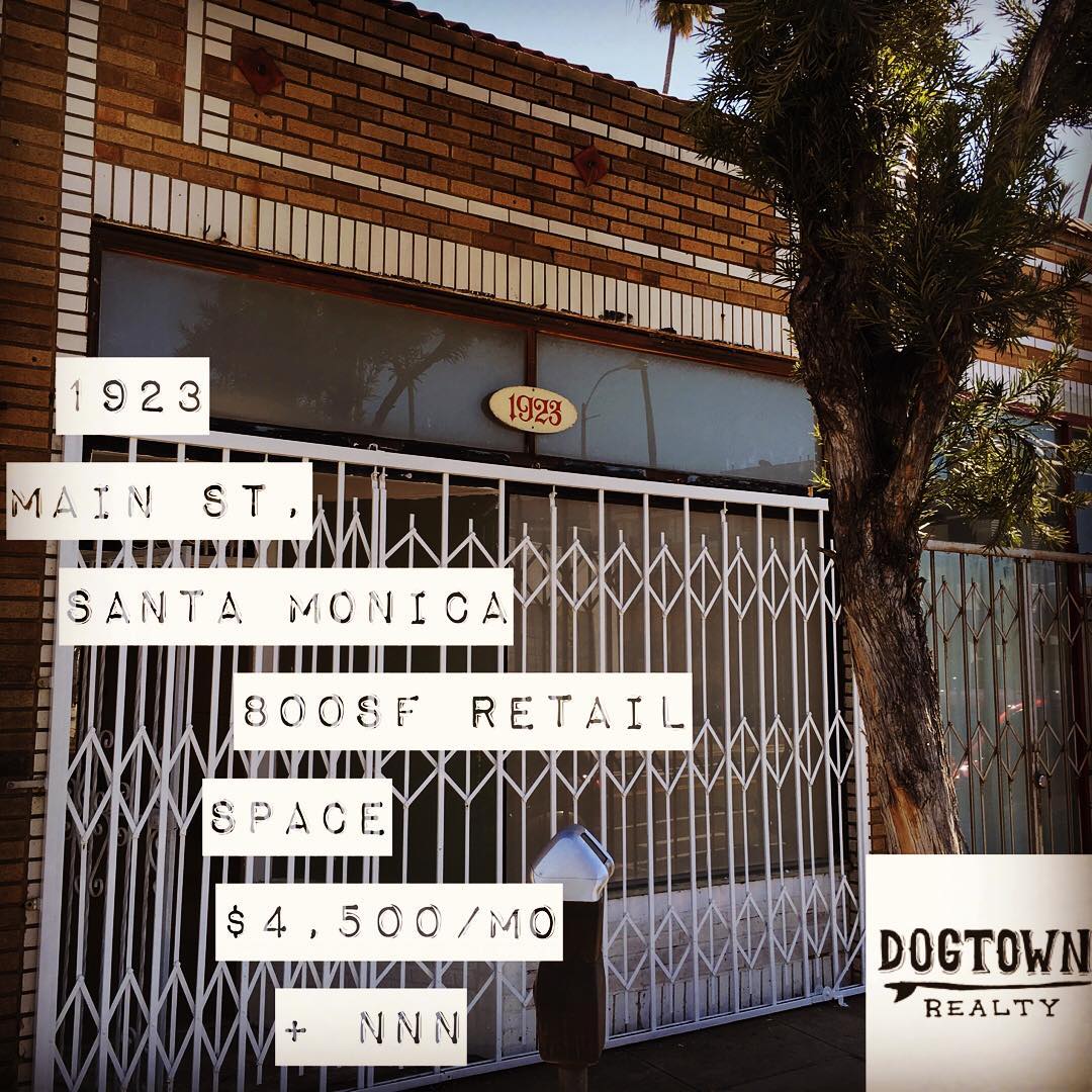 Coming up in the heart of Dogtown