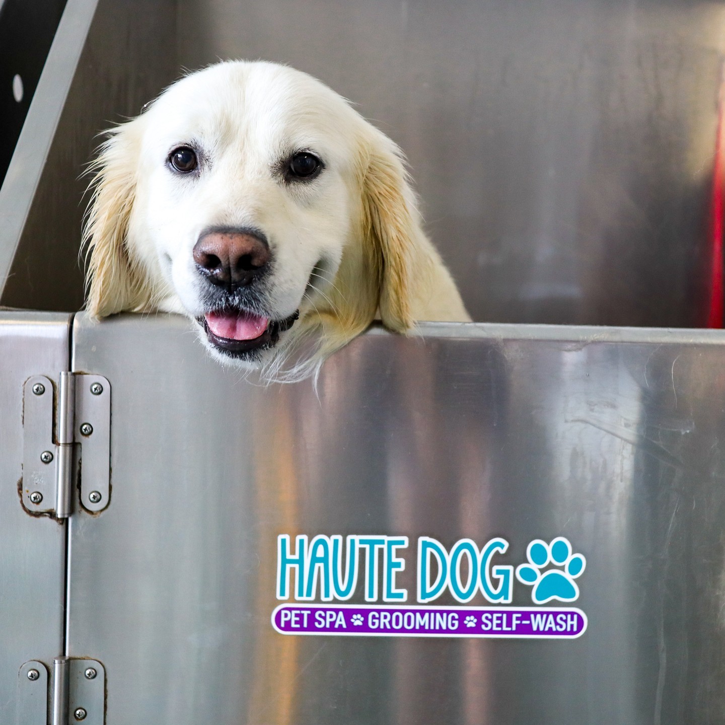 If the pups get dirty from running around this weekend, you know where to find us!