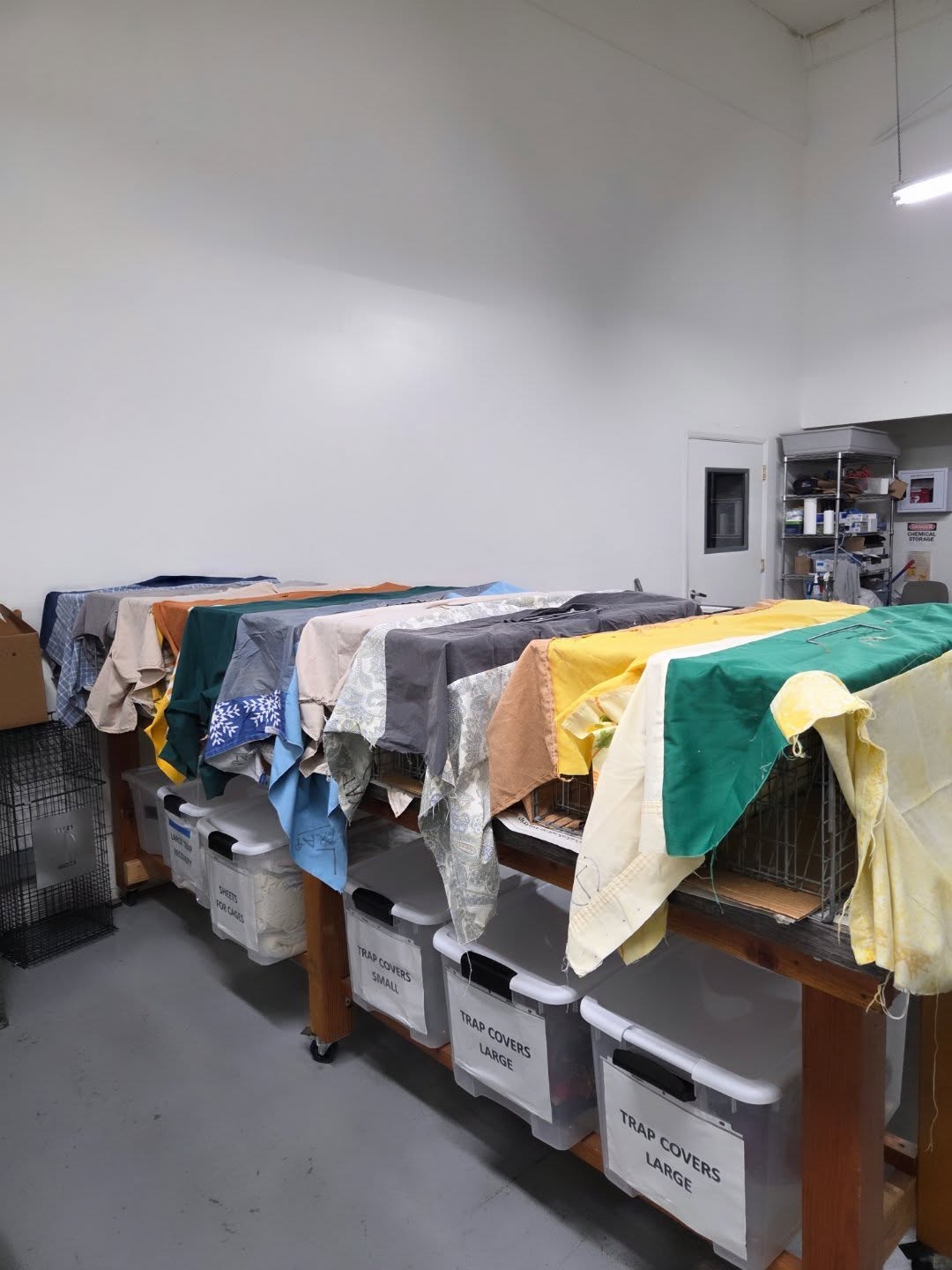 Just wrapped up my second ride-along with Crystal, the lead trapper for @forgottenfelines_sonomacounty! 🐈 We're making a real difference, and it feels amazing to help these kitties knowing they will no longer add to the senseless suffering of the unwanted. So many wonderful efforts are happening right now, and I'm so proud to be a part of it. TNR is volunteer work... that our community of people and cats need more of. Wanna ride with Crystal? Become a volunteer with @forgottenfelines_sonoma county. It's easy🏡 This mission is truly close to my heart. #AnimalRescue #VolunteerLife #FelineFriends #MakingADifference