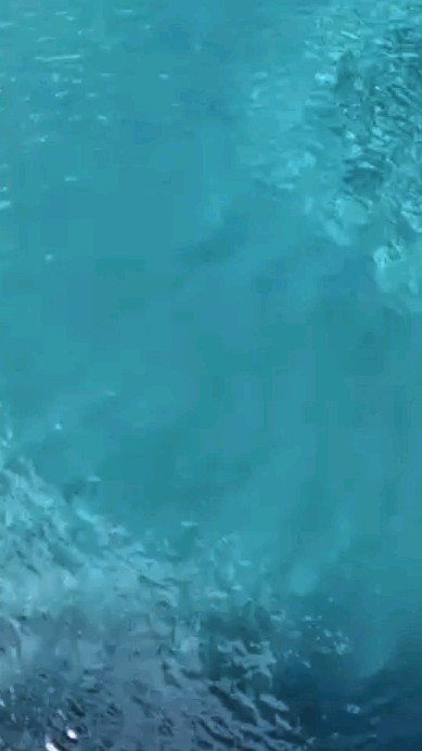 👷Baustelle statt Büro💼
😋😜Team statt Einzelkampf🙅
🏞️Ergebnis statt Routine💥
Wir suchen Verstärkung für unser Poolbau-Team 💪
Vom Aushub bis zum letzten Schliff – echte Arbeit mit sichtbarem Resultat.🙌
🫵😎 Lust, Teil davon zu sein?
👉 Melde dich bei uns!📨
#handwerkjobs #poolbauer #gartenbaujobs #baustellenleben #teamwork