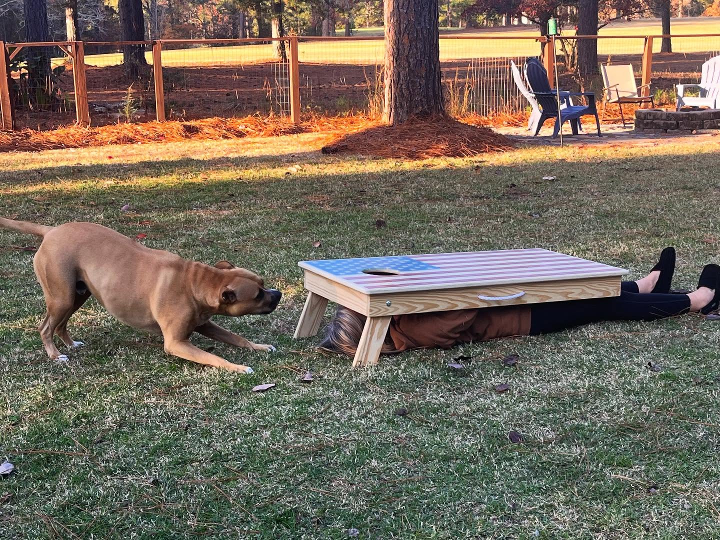 Cheri was playing hide and seek on Thanksgiving but as per usual Louie is not fooled #louieistotallyherdog