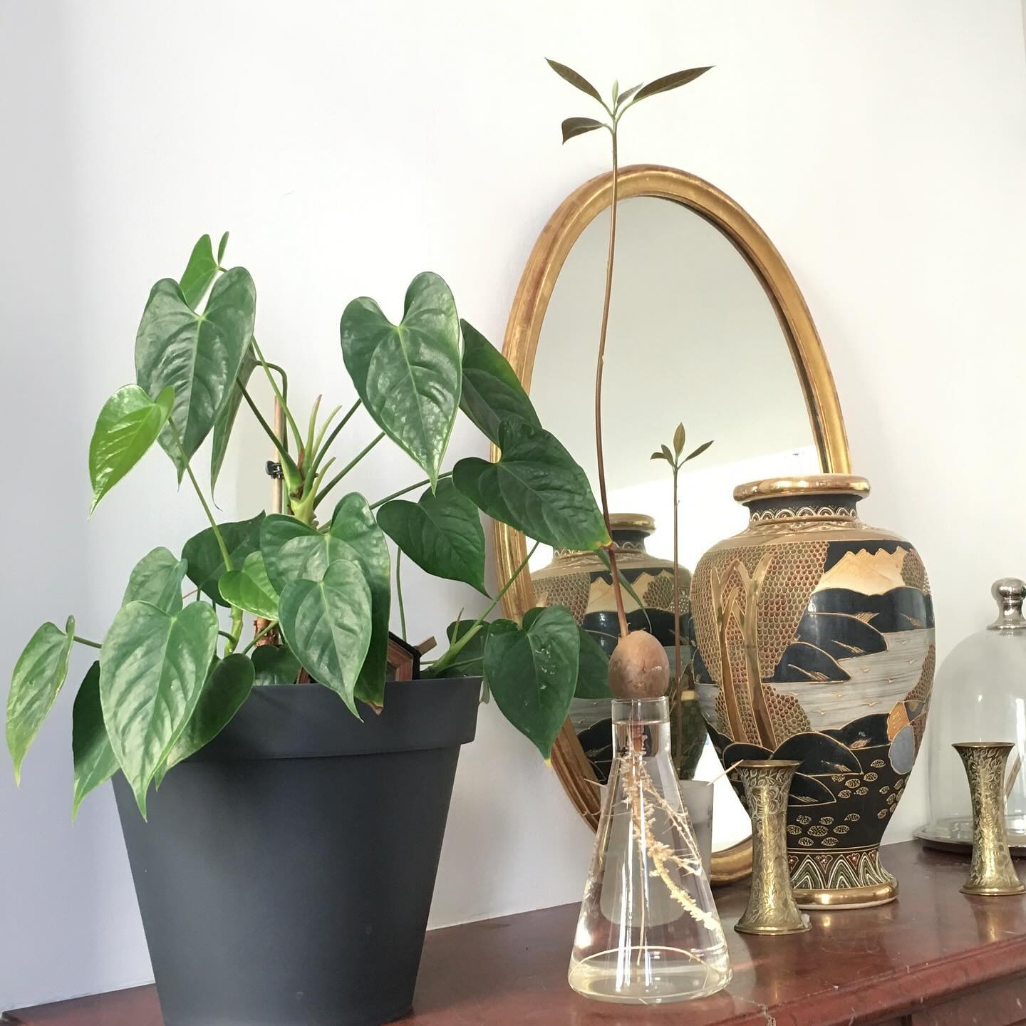đȘŽ Uplift your Qi with plants
Adding plants to your decor is a great way of cultivating positive energy in your home, office or business. Iâll admit it: I am clearly obsessed with indoor jungles!
Plants represent the Wood element : active energy, growth, and progression... as long as they are real, luxurious, and in good health! Fake plants are not a definite no-no, though. Some are convincing enough, but I still recommend you go for the real deal ;)
3 perfect spots for plants:
đĄIn your Family/New Beginnings area to support harmonious relationships, new ideas and mentors
đ In your Wealth area to encourage savings and increase income
đ« In any empty corner of your space to get the energy flowing
đ«đ· Ălevez votre Qi avec des plantes
Lâajout de plantes Ă votre dĂ©co est une excellente maniĂšre de cultiver de bonnes Ă©nergies dans votre habitat, au bureau, ou dans votre commerce. Je lâadmet: jâai un gros penchant pour les jungles intĂ©rieures !
Les plantes reprĂ©sentent lâĂ©lĂ©ment bois: une Ă©nergie active, la croissance, et la progression... Ă condition quâil sâagisse de vraies plantes, luxuriantes et en bonne santĂ©! Les fausses ne sont cependant pas Ă bannir complĂštement. Certaines sont assez convaincantes, mais je vous recommande dâopter pour les vraies ;)
3 spots parfaits pour des plantes:
đĄ Dans votre zone Famille/Nouveaux Projets pour maintenir des relations harmonieuses, et encourager les nouvelles idĂ©es et le mentorat
đ Dans votre zone Richesse pour vous aider Ă Ă©pargner et augmenter vos revenus
đ« Dans nâimporte quel coin vide de votre espace pour aider les Ă©nergies Ă circuler
#plantlover #fengshuitips #urbanjungle #growth #fengshuicharms #crazyplantlady #energyflow #fengshuidecor