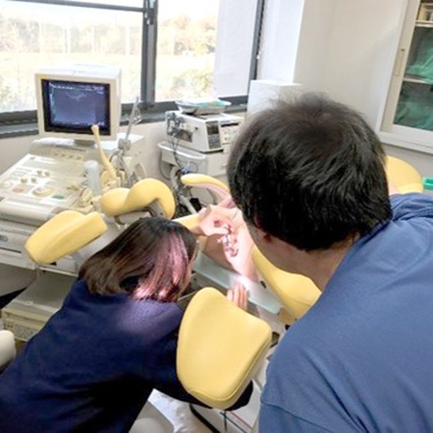 シミュレーターを用いて、助産師課程学生が子宮頸がん検診を実演しています。
・
#滋賀医科大学
#臨床看護学講座
#クリティカル領域
#実習
#学生主体