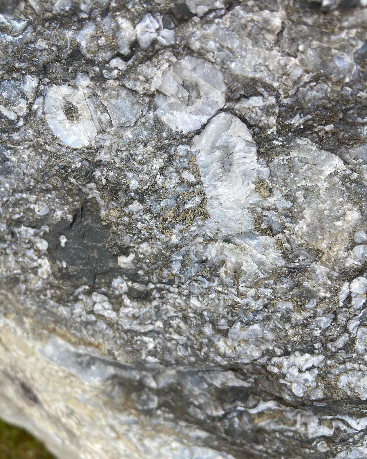 Fossiler i Geoparken. Sjøliljestilker i Porsgrunnsmarmor. Kongshavn i Langesund. ☀️
#unescoglobalgeopark #unescoinorge #geopark #visitbamble #visittelemark #fossiler #kalkstein #natur #geanorvegicageopark #bamble #naturebeauty #limestone