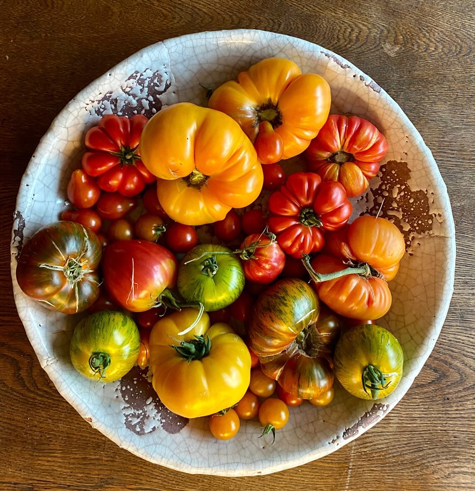 Bunte Vielfalt aus eigenem Anbau #soschmecktdersommer #heirloomtomatoes #einfachgut #dassindwir #sommerfreuden #frischausdemgarten