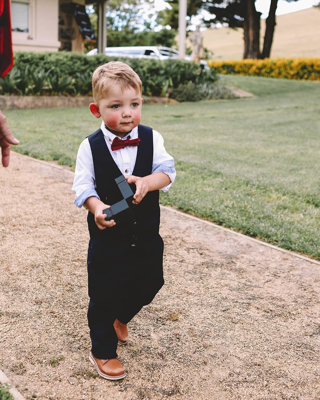 Ring Security 👮♂️
The little ones make the best ring bearers - a perfect way to have children involved! (And command all the attention)
@catherineoneill_89 📷 @madifitzgeraldphotography
.
.
.
.
.
.
.
.
#cute #handsome #ringbearer #wedding #weddingday #weddingstyle #gardenwedding #countrywedding #barnwedding #weddingphotography #weddinginspiration #southerntablelands #wedshed #homestead #bride #groom #love