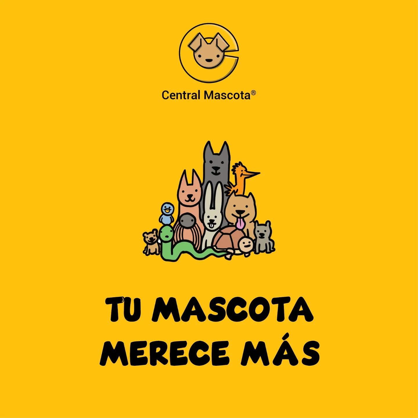 Estamos construyendo Central Mascota, un universo único para conectar a tu mascota con el mundo. Más que una app social, es una aventura interactiva con sistema de alerta para misiones y reportes. 🐾✨ Transformamos cada rincón en un hogar para tu mascota, porque ella merece más. #CentralMascota #TuMascotaMereceMás"