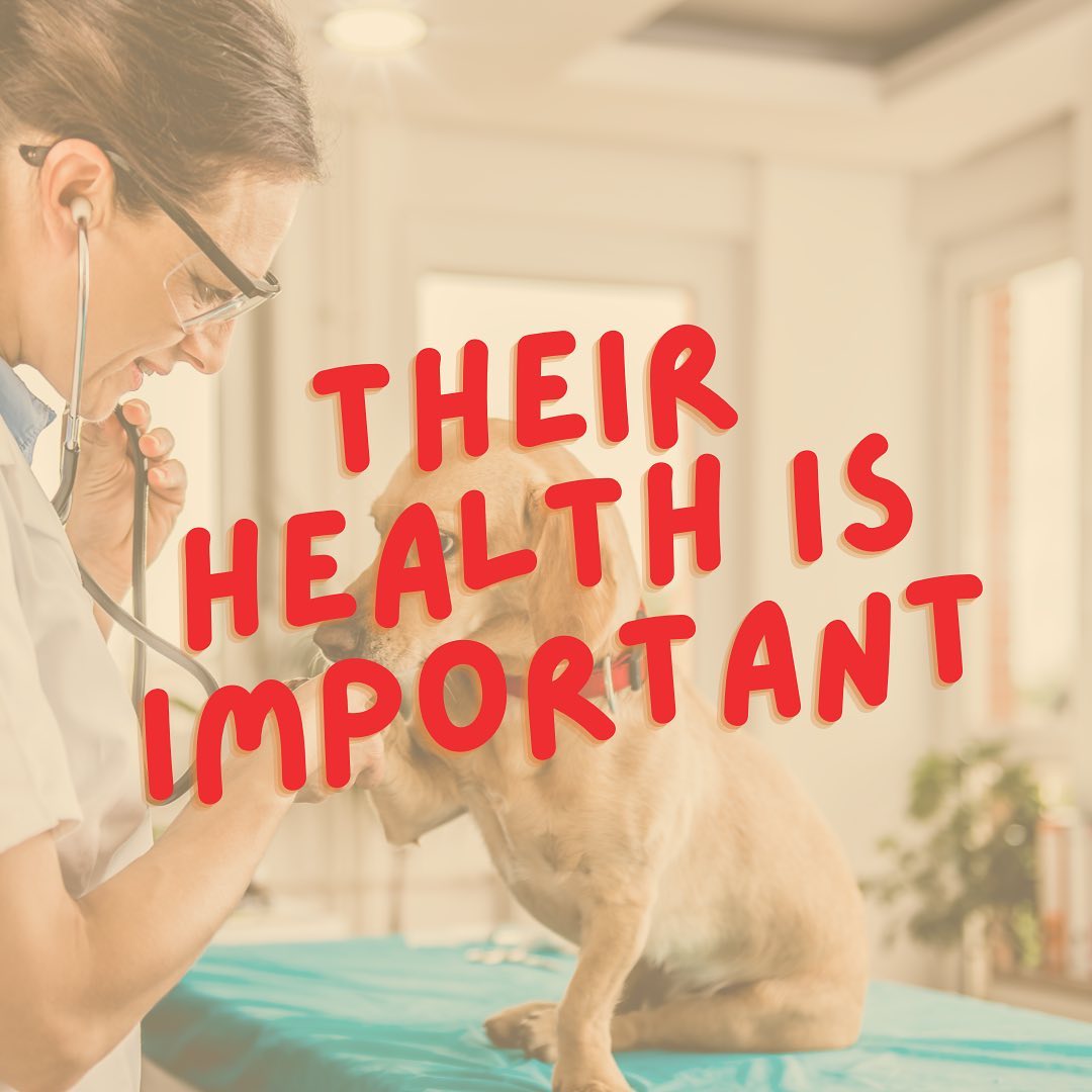 It’s #NationalPetWeek, and we’ve got you covered this week with four ways to celebrate with your furry friend! 🐾
3️⃣ Annual visits with your veterinarian are essential to your pet's health. Go for a routine check-up, book an appointment for your pet’s upcoming vaccinations, etc.