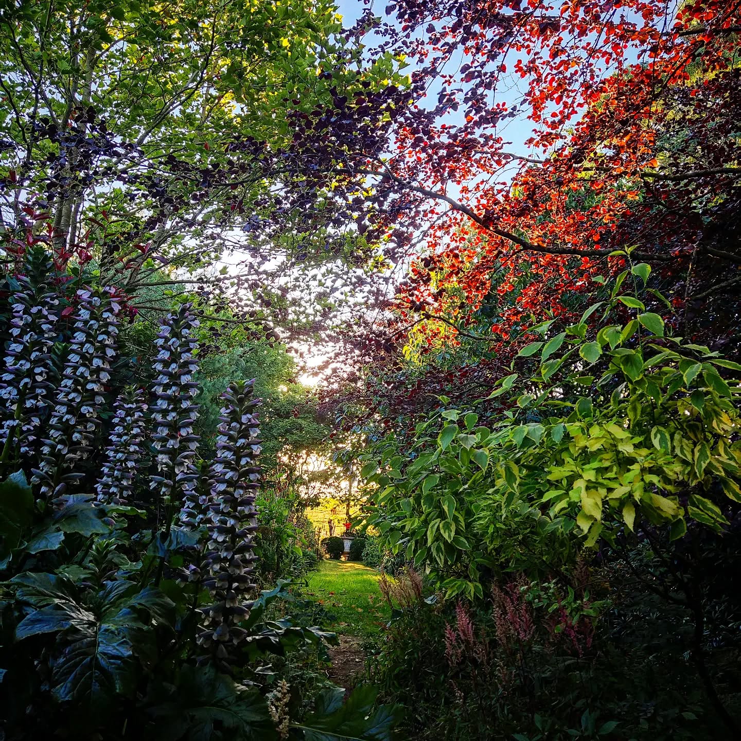 Summer time has really sprung at #TGSR
The colours in the morning light are so vibrant, rich and magical 🌟
Checkout the view from #thekara 🌈
Dan and I are working hard to get The Kara (our event space) back up and running after being used in the pandemic as our amazing workshop...
From clearing the misfit objects, finding them new homes, lots of wood from this year's fallen trees has been stacked so now we have space to have a proper summer clean!
The Kara has always been a special place for us as Dan built it for our wedding with the idea of hosting classes, workshops and events to our guests so they too can marvel in the middle of this spectacular garden 🌱
The time has come to get back on track with opening once more 💚
We look forward to welcoming you soon... Watch this space.
Take care
V
#relax #rejuvenate
#unwind #yoga #pilates #workshops #woodcarving #crafting #arttherapy #greentherapy #meditation #tretherapy #hypnotherapy #birthclass #dance #popupdinner #wedding #elopment #photography #gardeninspiration #talks #movienights #thelistisendless #thegreenhousesparetreat #takecareofyourself #tropicskincare