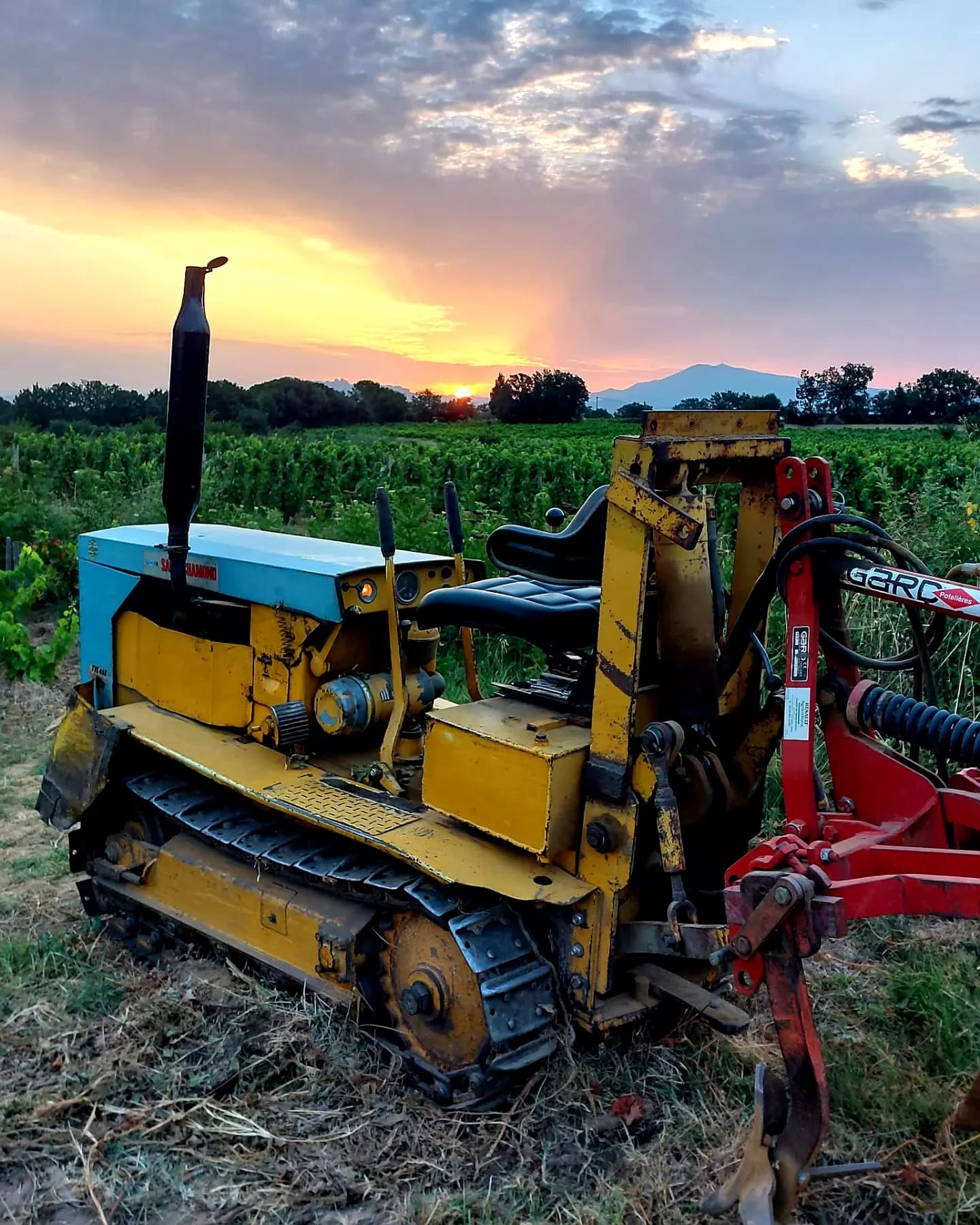 Le Saint-Chamond, emblème de Châteauneuf-du-Pape.
Nous l'utilisons essentiellement pour les labours dans nos vignes les plus étroites (1m/1m). Chenillards, il limite le tassement des sols.
Saint-Chamond, the emblem of Châteauneuf-du-Pape.
We use it mainly for ploughing in our narrowest vineyards (1m/1m). As they chase the soil, they limit soil compaction.
#vignoblesmontthabor #vinsluberon #chateaumontthabor #chateauneufdupapewine
#saintchamond #oldshooltractor #vieuxtracteur #vignerons
@danielstehe