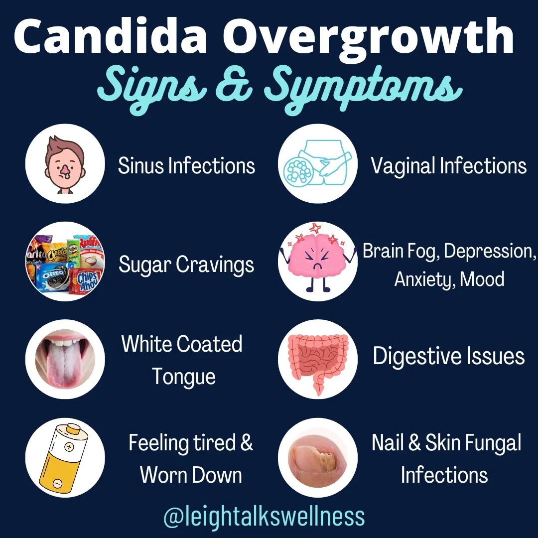 Candida is one of many types of yeast that live inside or on us. Candida is found on our skin, mouth and intestines.
In small amounts Candida does not cause a threat our health. However it can overgrow and cause many health issues.
Signs & symptoms
👅 White coated tongue
Digestive issues - gas/bloating, constipation, diarrhea and malabsorption
😫 Mood swings, anxiety and depression
😴 feeling tired and worn out
🧠 Brain fog & poor memory
💅 Nail fungal infections
👃Sinus infections, poor smell & runny nose
👩🦰 Vaginal re-occuring infections
Comment below if you have experience candida overgrowth and what helped you.
#guthealth #guthealing #dysbiosis #gutmicrobiome #guthealthiseverything #guthealthtips #healthtips #guthealthmatters #detox #detoxyourbody #cleanseyourbody #candida #candidacleanse #candidaovergrowth #healthpractitioner #lowtoxliving #healthliving