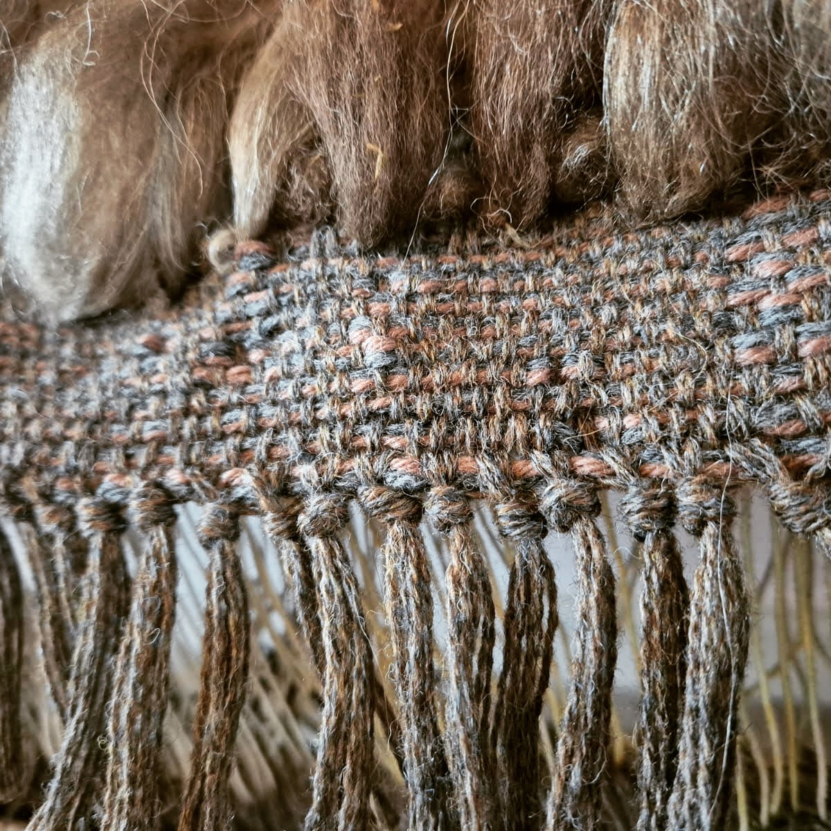 I always love to show off photos of the back of my vararfeldir. As I've got to know this artform better, the rows of knots have become neater, and are now barely visible in the weave! Who would guess that such a dense, tidy weave could be the root for such a flurry of wild, colourful locks?
#weaver #handwoven #vikingweaving #vikingcloak #vararfeldr #vikingreenactment #vikingcraft #heritagecraft