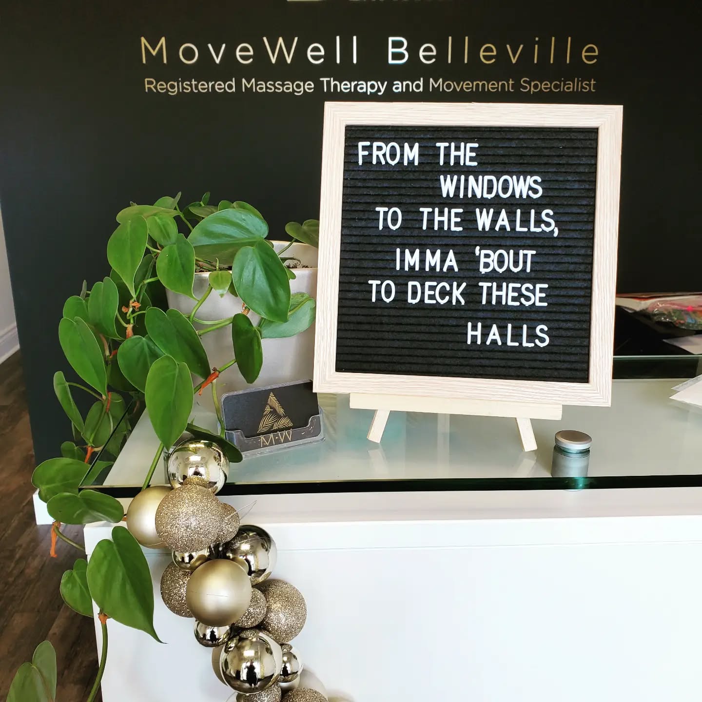 Happy Holidays from me, myself, and I at MoveWell Belleville!
The clinic is now closed until January 3rd. If you need to reach me at all during the next couple weeks, please feel free to email me at movewellbelleville@gmail.com.
I'm really happy to share that through PennyKnits, we were able to raise $1000 for Fixed Fur Life! Thank you to everyone who contributed to this cause!
Thank you to all of my wonderful patients for making this year incredible. I'm so grateful to have such kind and generous people that put so much trust and faith in me. I'm wishing you all a very merry and relaxing Christmas and looking forward to seeing you in the New Year!