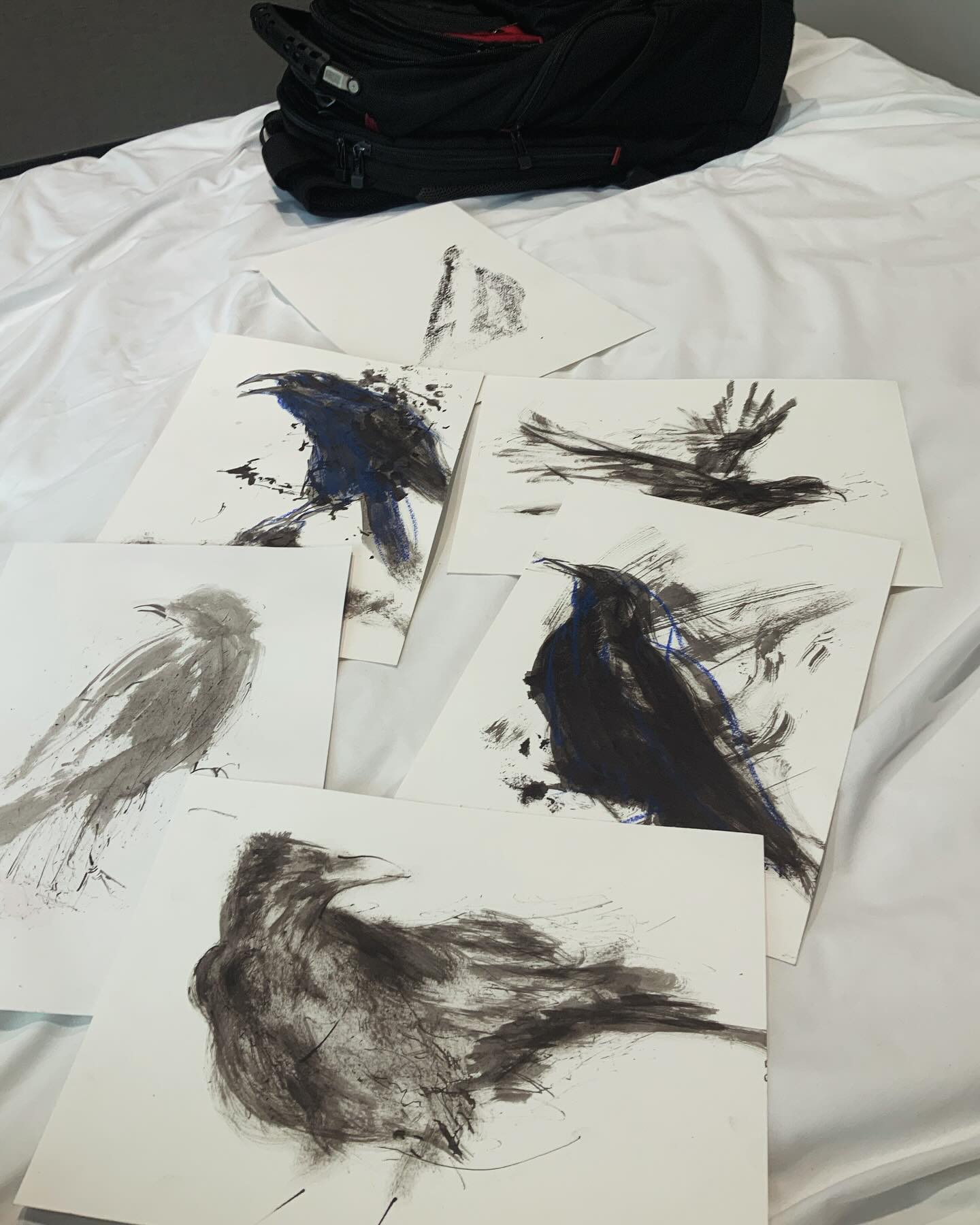 In London. Drawing crows. More to come!
#crowportrait #crowpersonality
#individualsmatter #crowdrawing #Londondrawing