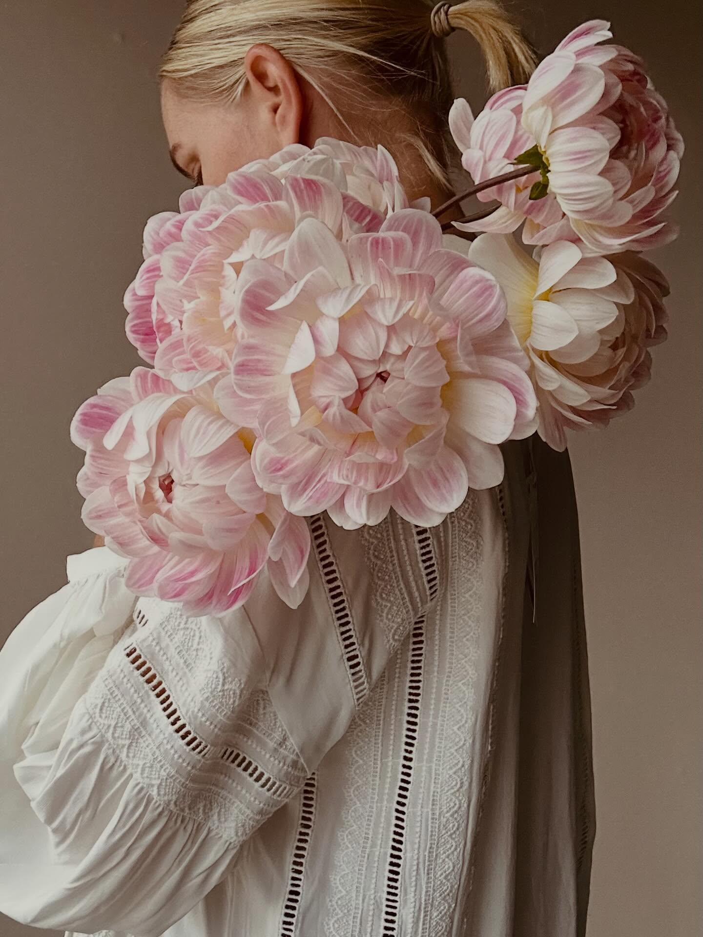 Kelgai Ann 😍
#storiesandcreations #dahliadesire #dahliafarmers #unicorndahlia #kelgaiann