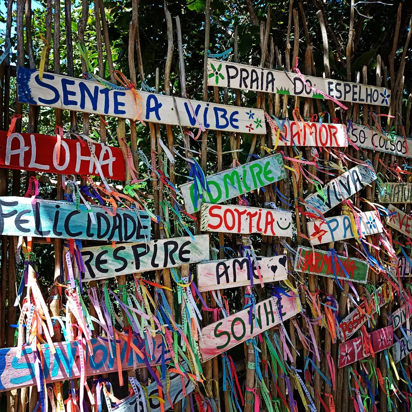 Só positividade 🙏
Vem pra Bahia e recarregue suas energias 🔋
#transfersatu
#transferarraial
#transferportoseguro
#transferpraiadoespelho
#transfertrancoso
#transfercompartilhadocaraiva
#transfercaraiva
#simboracaraiva