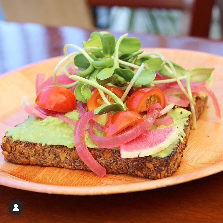 Find our Sunflower Shoots featured on a new brunch item at Sunrise Bistro, Walnut Creek.
Crosspost from @sunrisebistro
🚨 New Brunch Menu Item! 🚨
VEGAN AVOCADO TOAST: Avocado, lime, chili oil, pickled onions, tomato, radish & sunflowers shoots on almond & seed oat toast *add smoked salmon, bacon or egg* 🔥
-
-
-
-
-
#placergrown #urbanfarming #hydroponics #verticalfarming #knowyourfarmer #cagrown #freshfood #healthyfood #urbanfarmer #mixedgreens #leafygreens #microgreens #nongmo #planthealth #indoorfarming #aeroponics #growsomeleafys #growsomemicros #shellridgefarms #localfarmers #nutrientdense