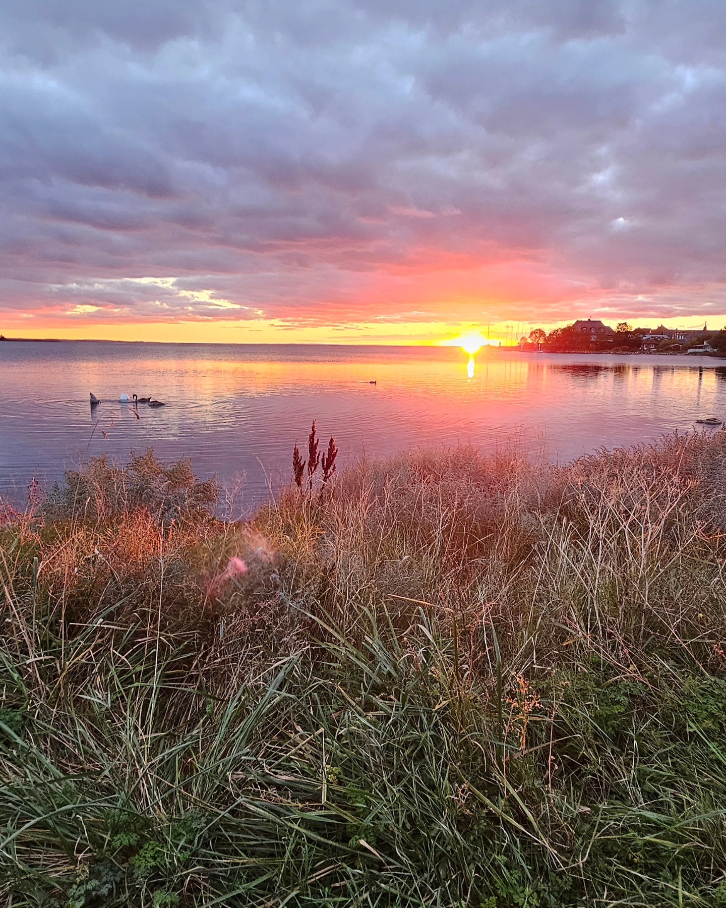 Auf den tollen Sonnenuntergang folgte heute wieder ein toller Sonnentag. Fehmarn präsentiert sich von seiner schönsten Seite 😍.
After a great sunset yesterday we had another wonderful sunny day today. The island Fehmarn is presenting its prettiest side 😍.
#hausimfelde
#Fehmarn
#Albertsdorf
#Ostsee
#sonneninselfehmsrn
#schleswig_holstein
#Sonnenuntergang
#ferienwohnungen
#Ferienappartments
#Kite
#Wingfoil
#Surfen
#windsurfing
#Radfahren
#Bike
#Holidayappartements
#balticsea
#sunset
#islandinthesun