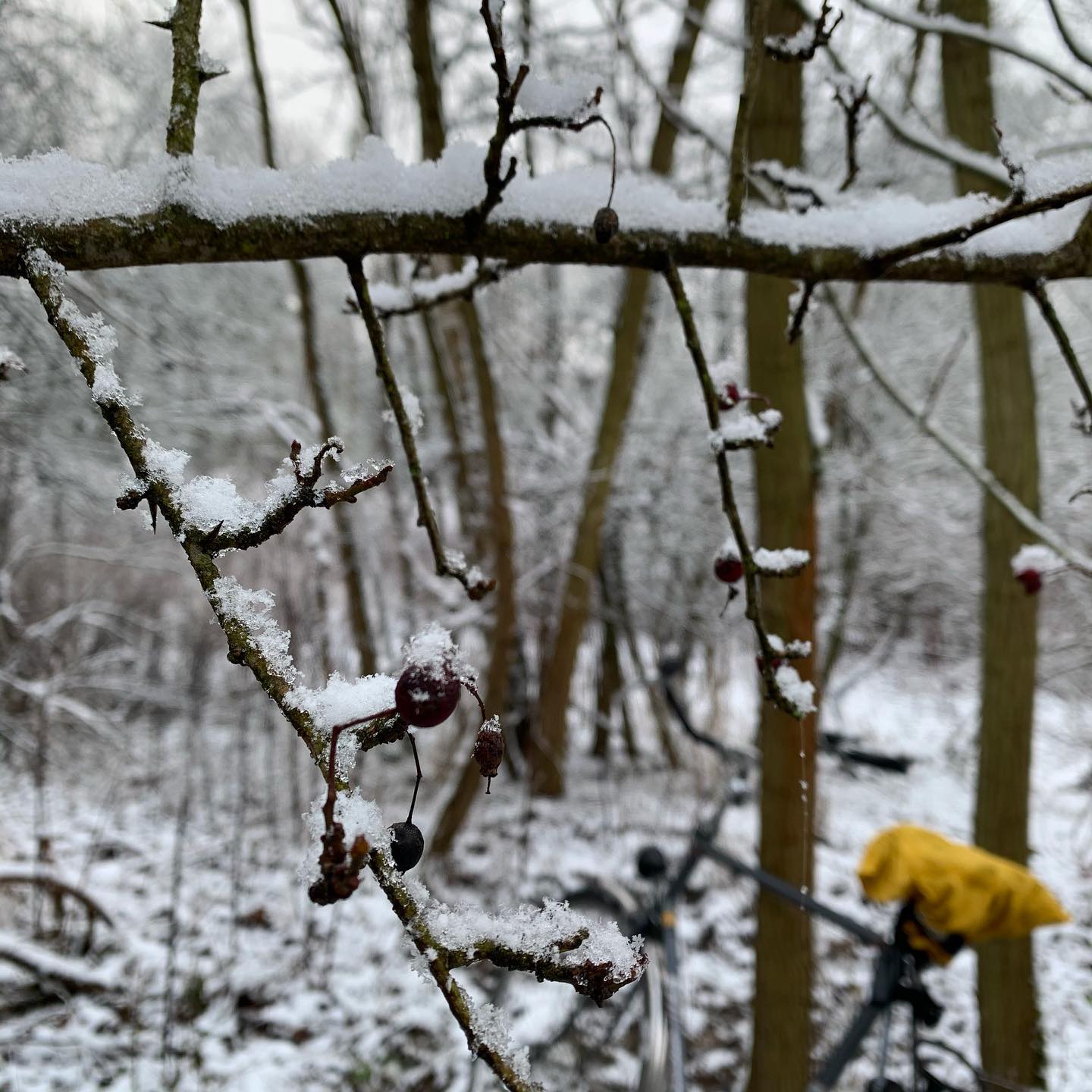 3 - winterliche Radtour über den Heller.