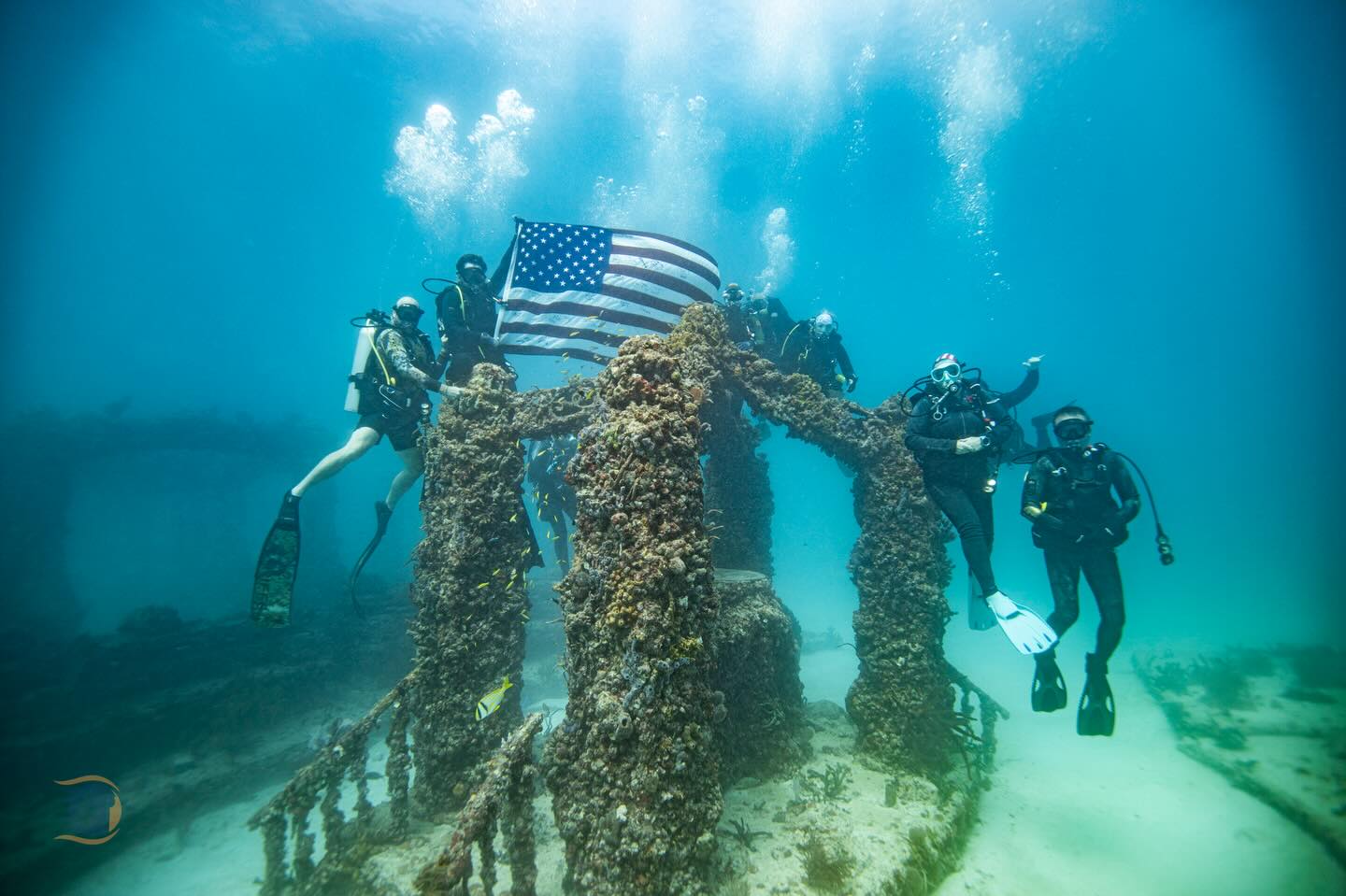 Neptune Memorial Reef is where Luis Souffront headstone was placed many years ago by his teammates. Though we can no longer find it today, we still return to this reef to honor and remember Luis. Some places hold memory deeper than stone. 🌊🤍
Subsurface Veterans will always remember and continue to do annual memorial dives to the Neptune Memorial Reef.
If you would like to support these kind of dives please visit www.subsurfaceveterans.com and make a donation. 100% of money goes to getting veterans in and under the water.
@jsamuel215 @brunoraschio @diversparadisemiami #NeptuneMemorialReef #SubsurfaceVeterans #NeverForgotten #luissouffrontmemorialdive
