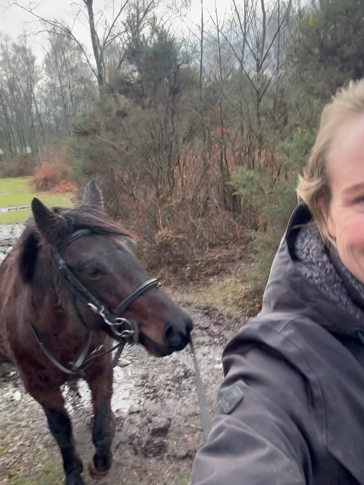 Took Jimmy on a little stroll today…reconnecting on the ground is a big part to his recovery journey and mine❤️🩹
Not long now before he goes off to @conniecolfox for his full rehab…but any progress we can make on the ground before will always help🙏🏻
#horserehabilitation #horsetrainer #reconnecting #partoftheherd #newforestpony