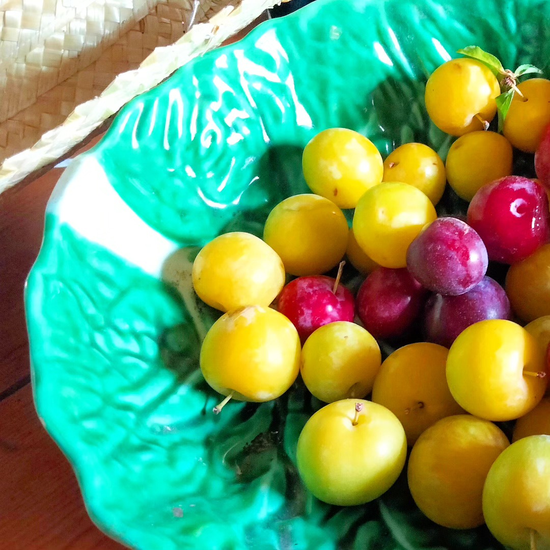 Primeira colheita doce!
First sweet harvest!