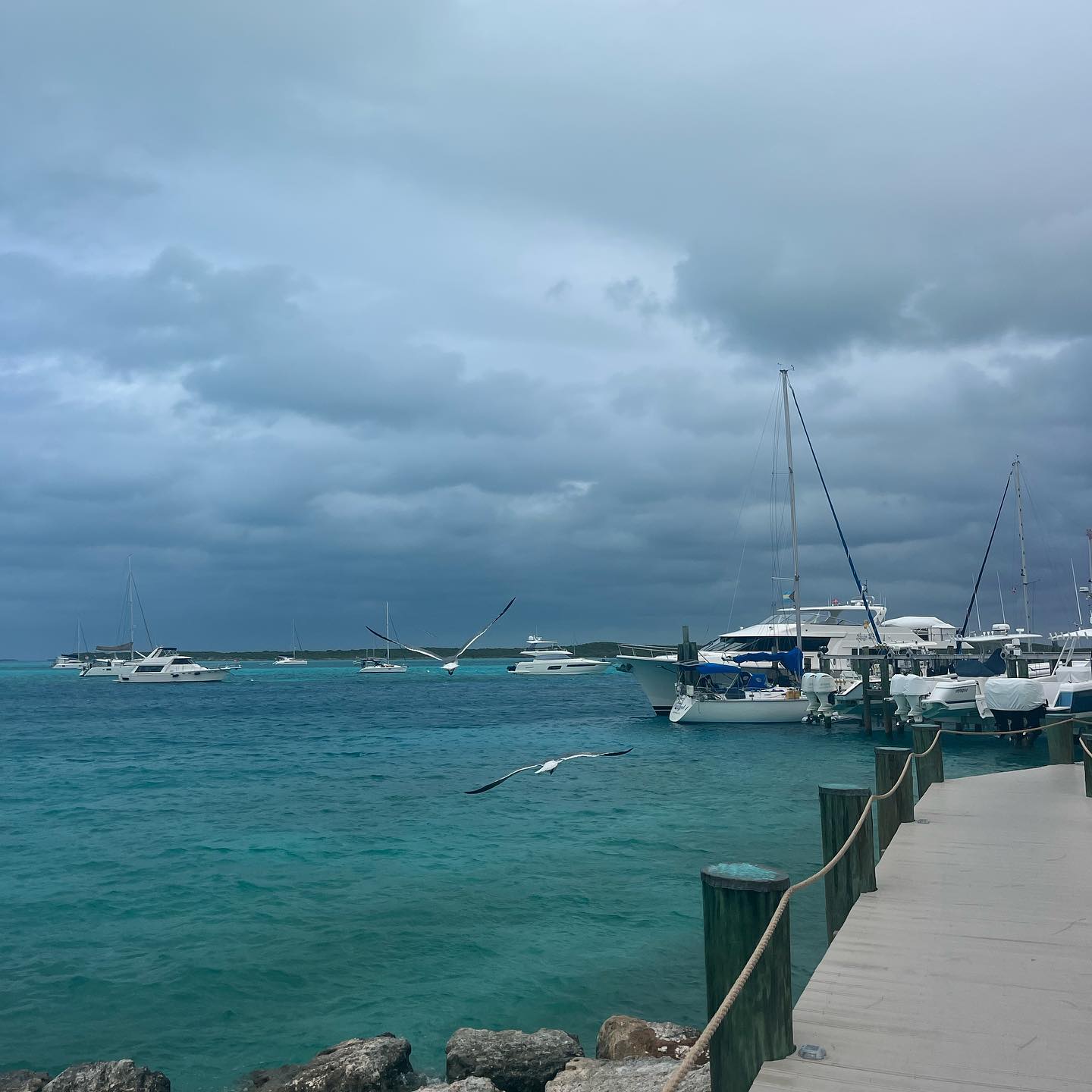 Cloudy Staniel Mornings
#stanielcay #stanielcayyachtclub #bahamas #exumas #explore
