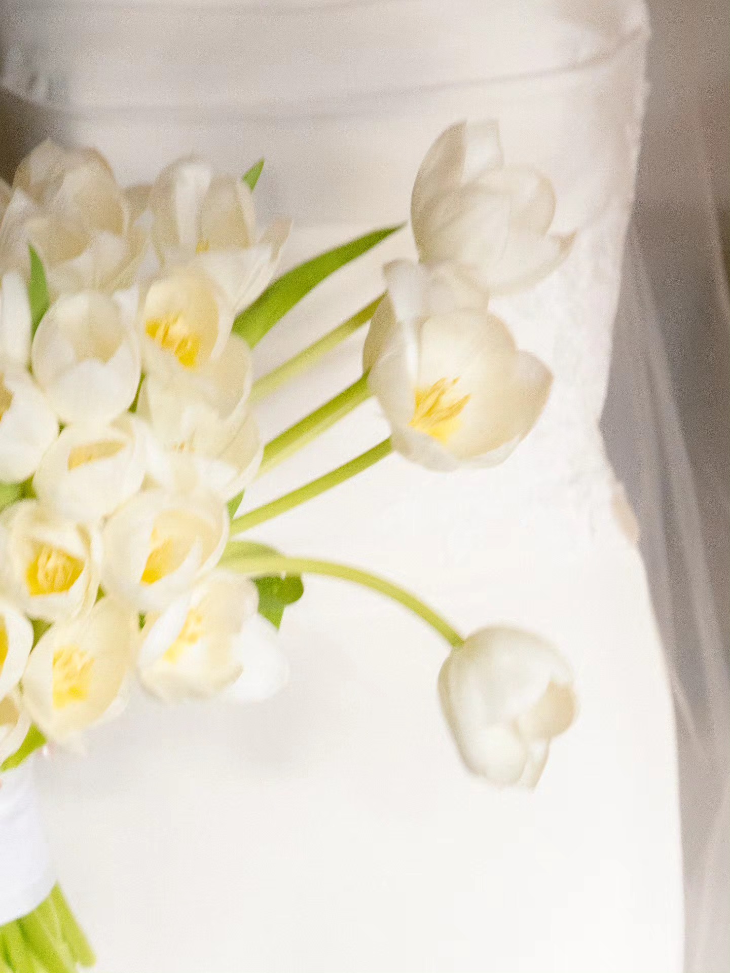 More flowers !!!
.
.
.
.
.
.
.
.
#calgaryweddingphotographer #canmoreweddingphotographer #vancouverweddingphotographer #filmweddingphotographer #filmweddingphotography #aesthetic #2026bride