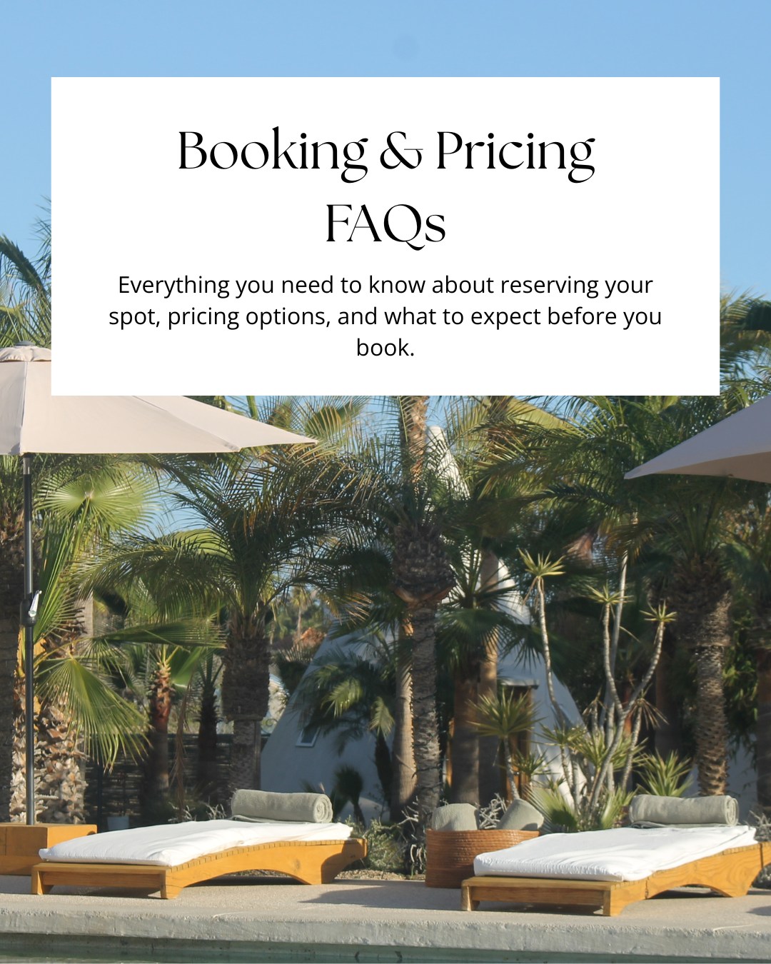 Here are answers to our most common Booking & Pricing FAQs, including what’s included, payment options, and what to expect before reserving your spot. Swipe to learn more!
Be sure to book your spot soon, limited spots remaining.
Baja Flow Todos Santos Retreat
📍 Todos Santos, Baja California
📅 Oct 1-5, 2026
Explore the details + book when you’re ready via the link our bios.
DM for any other questions - always happy to help!
#sanfranciscoyoga #sanfrancisco #bayarea #bayareayoga #sf #sfyogateacher #sfyoga #sfwellness #sfbayarea #thesweatlifesf #thesweatlife #yogaretreat #retreat #wellnessretreat #humandesign #humandesignretreat #surfingretreat #surfing #surf #mexico #mexicoretreat #todossantos #bajacalifornia