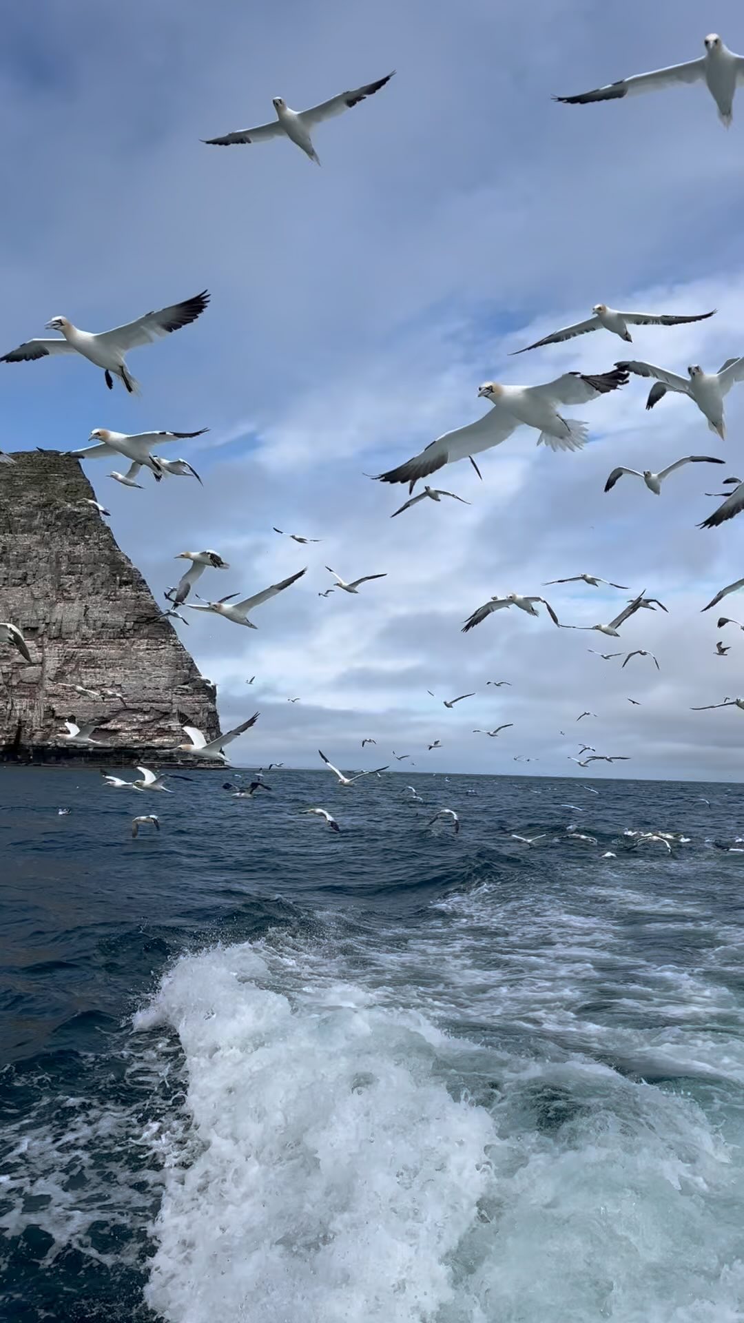 Îles Shetland ! https://www.contrees-sauvages.com/à-la-rencontre-des-plus-beaux-sites