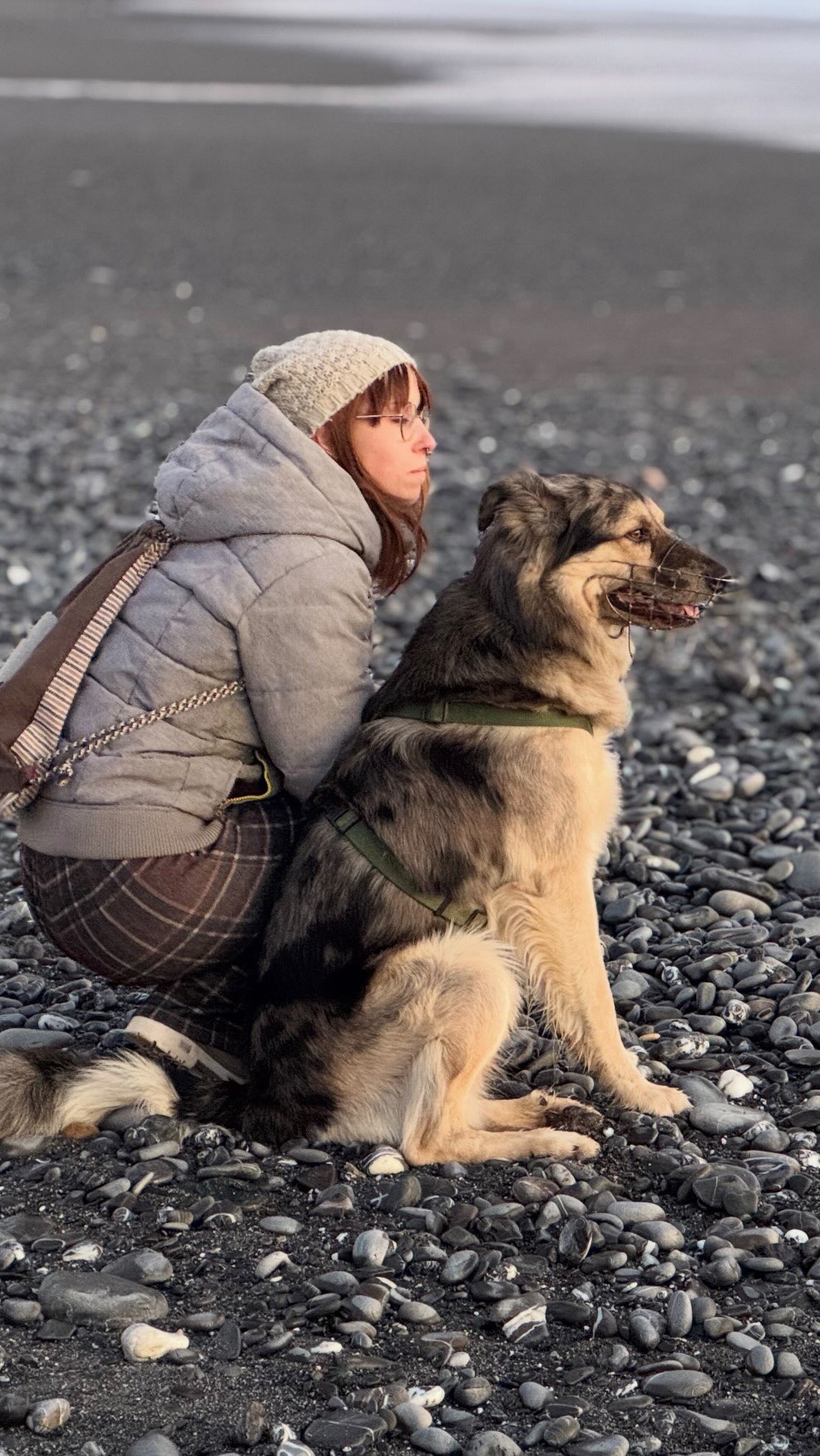 ✨ Quanto sei connessa/o con il tuo cane? ✨
Se queste parole ti hanno fatto rallentare anche solo un attimo, se ti sei riconosciuta/o in quella sensazione di presenza e ascolto… allora sei già dentro il tipo di relazione che fa davvero la differenza.
🚀 Parleremo anche e soprattutto di questo nel nuovo corso dog sitter in partenza a Marzo!
È da qui che nasce il nostro modo di formare dog sitter: non dalla prestazione, ma dalla relazione.
🐾 Iscrizioni aperte al CORSO DOG SITTER
📥 Scarica il programma completo
🤝 Seguici e supportarci su @takescareds
📲 Entra nel nuovo canale WhatsApp
Trovi video esclusivi e contenuti che vanno oltre i social.
👉 Seguimi e scopri perché
un cane felice è meglio di uno perfetto.
#relazioneuomocane
#cinofiliaconsapevole
#educazionecinofila
#dogsitteritalia
#connessionevera