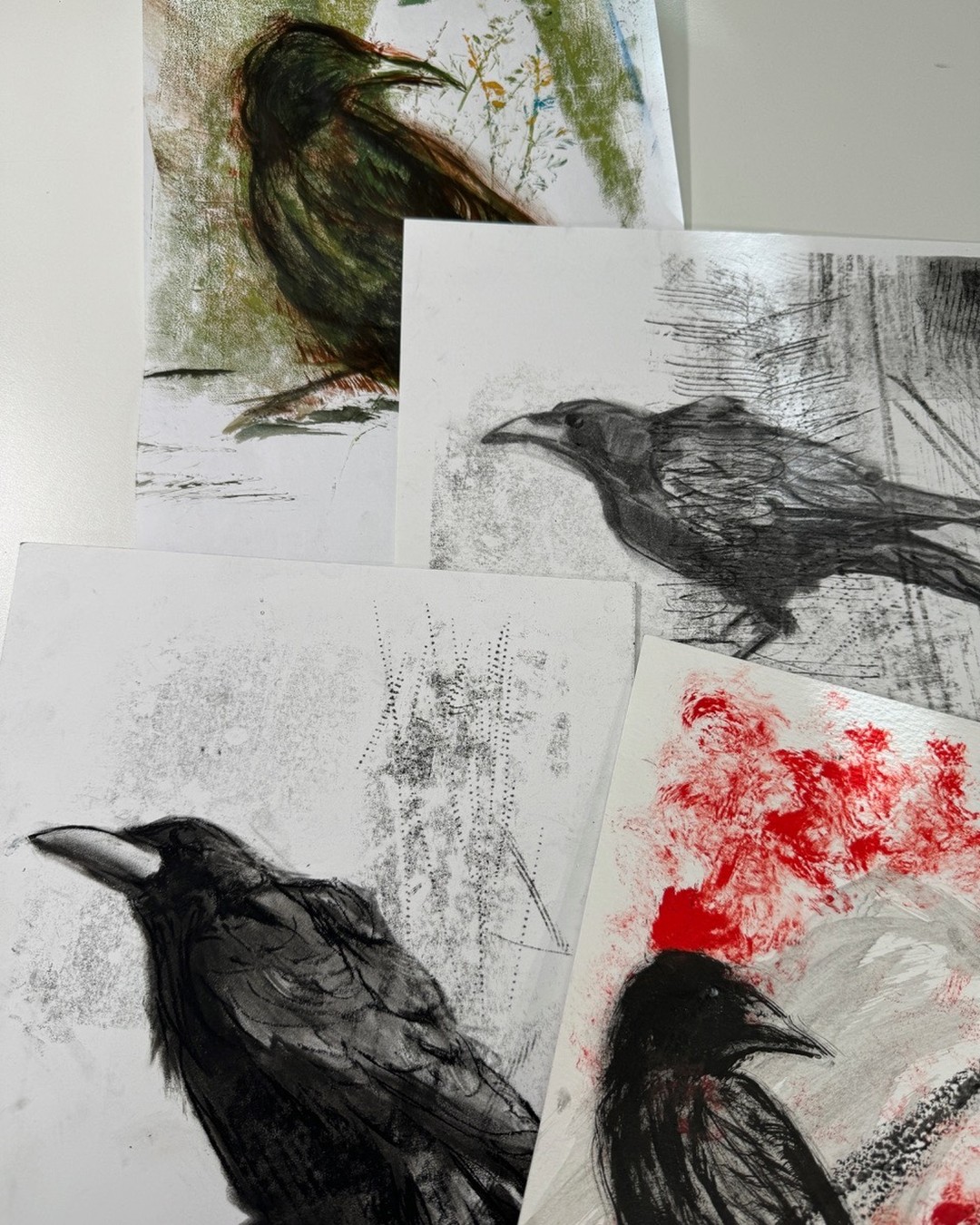 “… and likewise the Book of St. Albans bestows
a kettle of hawks and a murder of crows. “
Excerpted from the poem, THE BOOK OF ST. ALBANS, 1486,
by Neil Doherty. (Used by permission.)
In progress — ink, charcoal, paint.
#crowportrait #crowpersonality
#individualsmatter #crowdrawing