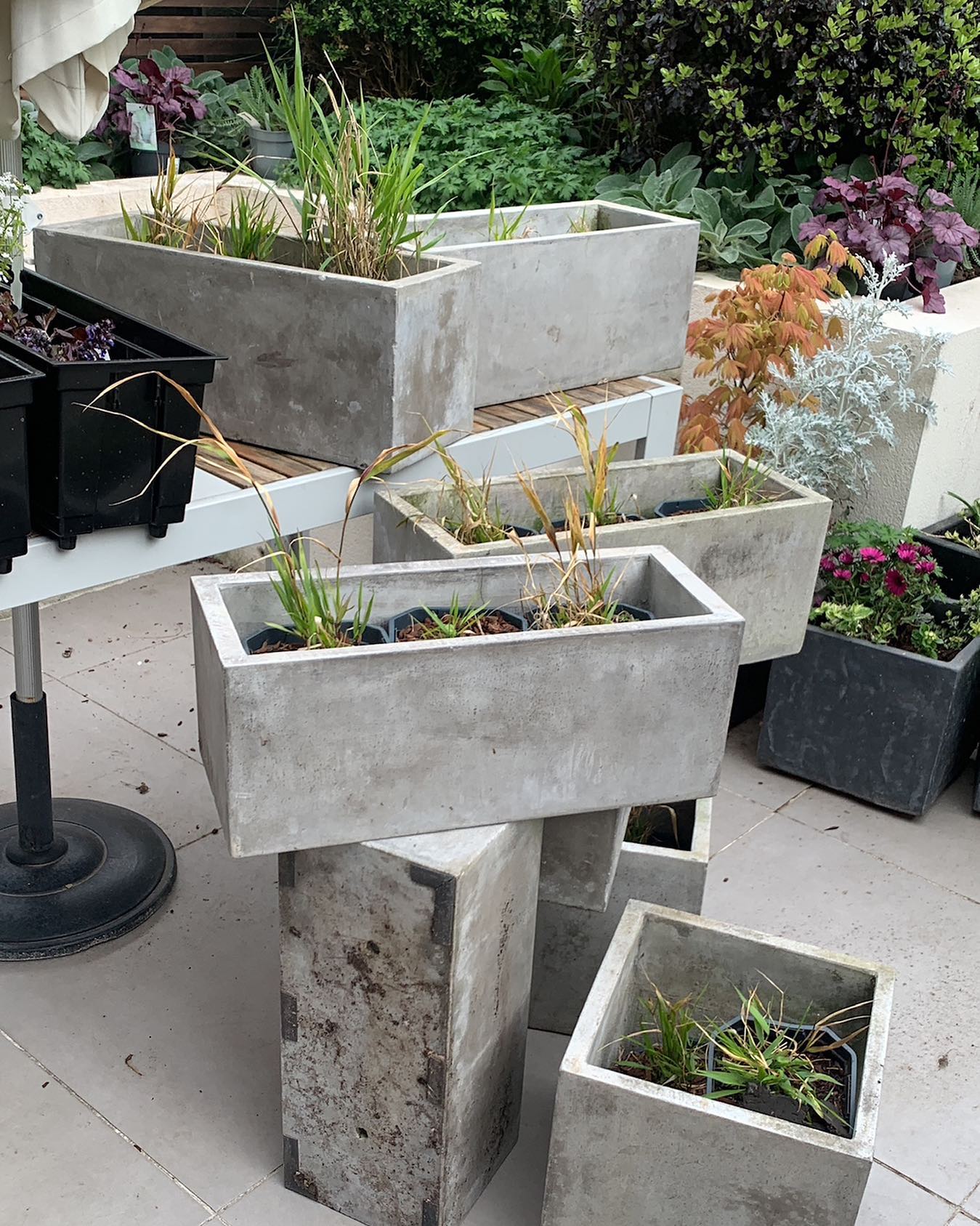 Concrete plant pots 🪴
#plantsofinstagram #plantgram #plant #flowerpot #houseplant #grass #rectangle #houseplants #botanical #geometricart #urbanplanning #urbandesign #iloveplants #flowerpots #gardenersdream #urbanjunglebloggers #plants #gardendesign #gardeninspo #gardeninspiration #trends #follow #like