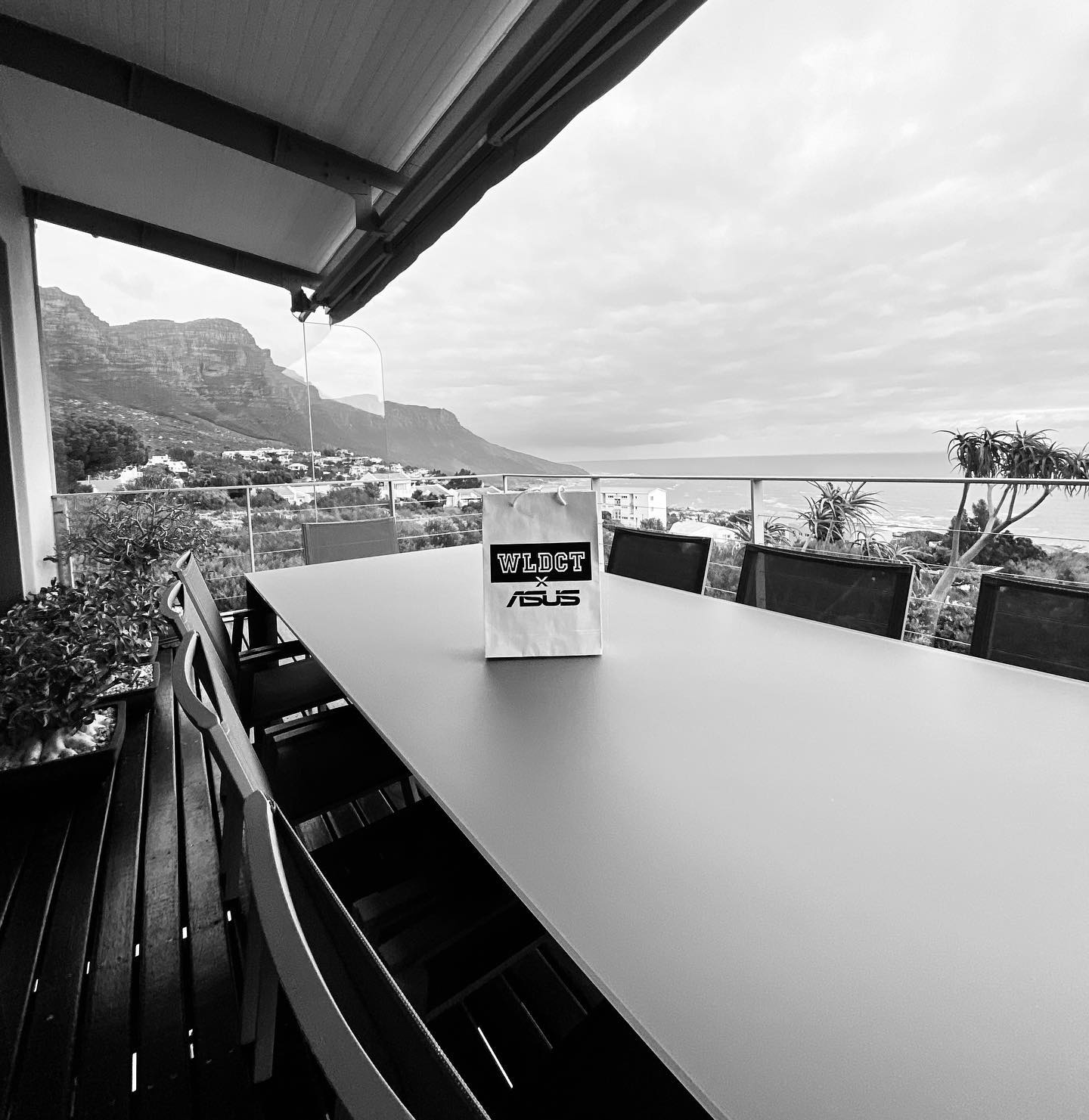 Wildcat x ASUS final is underway. 🤍🖤