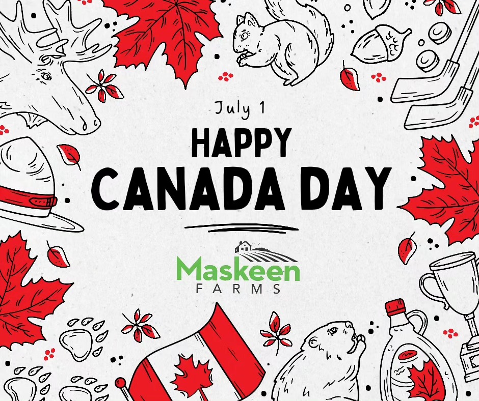 Happy Canada Day from everyone at @MaskeenFarms!
.
.
.
#Canada #July1st #Canadaday #Maskeenfarms #Farm #Farmfresh #BC #Beautiful #Berries #Blue #Love #2024 #Blueberries #Outdoors #Nature #Health #Healthy #Fruit #Instagram #Canadian #ProudtobeCanadian