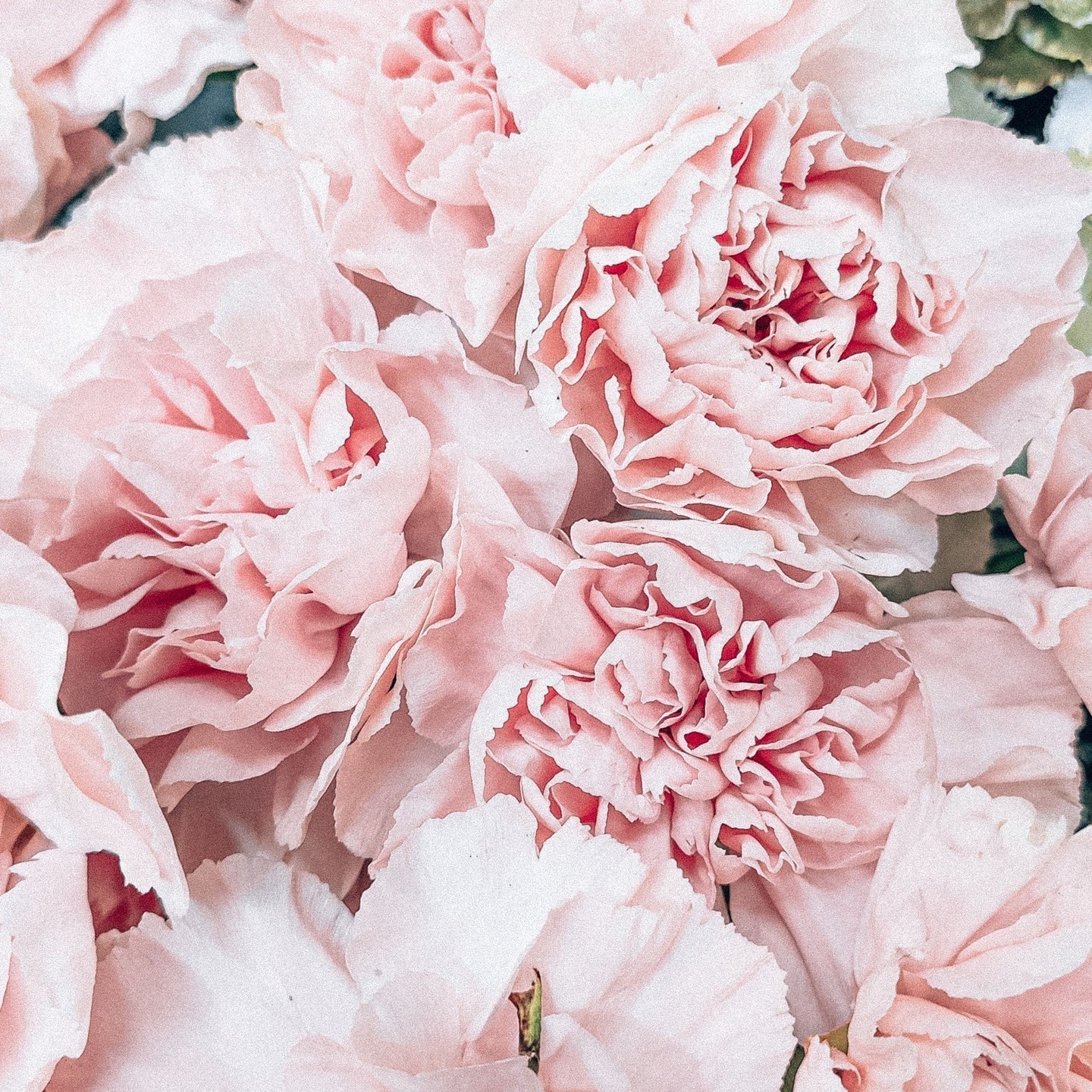 Make your special day even more memorable with our photo booth! 📸
#WeddingMemories #melbournephotoboothhire #photoboothhire #victorianwedding #weddingphotos #weddingphotobooth #melbourneparty #melbourneevents #photoboothparty #partyhire #weddingday #thebigday #weddingdress #melbournebride #melbournegroom #weddingphotography #bridetobe #weddinginspiration #tietheknot #weddingplanner #weddingplanning #shesaidyes #ido #melbournewedding #photobooth #melbournephotobooth #melbourneweddings #engagement