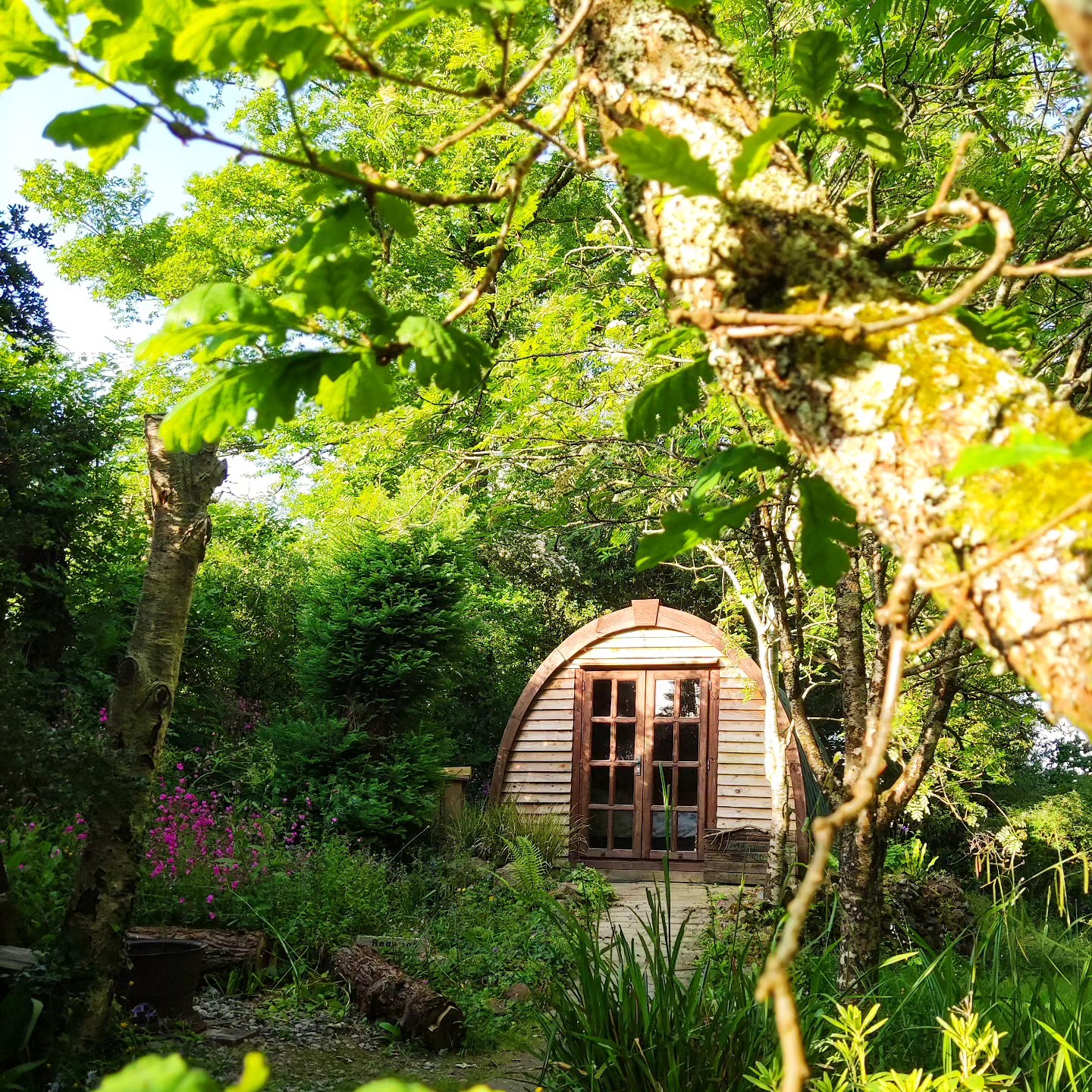 Redwood the relaxing Glamping Pod
We absolutely love creating these spaces for our visitors.
Join us this Summer for your rejuvenating stay in our Cornish getaway 💚
Book direct on our website 🌟
The Greenhouse Spa Retreat
#redwood #glamping #live #laugh #love #firepit #trees #nature #therapy #getaway #camping #cornwall #10yearsofonedirection